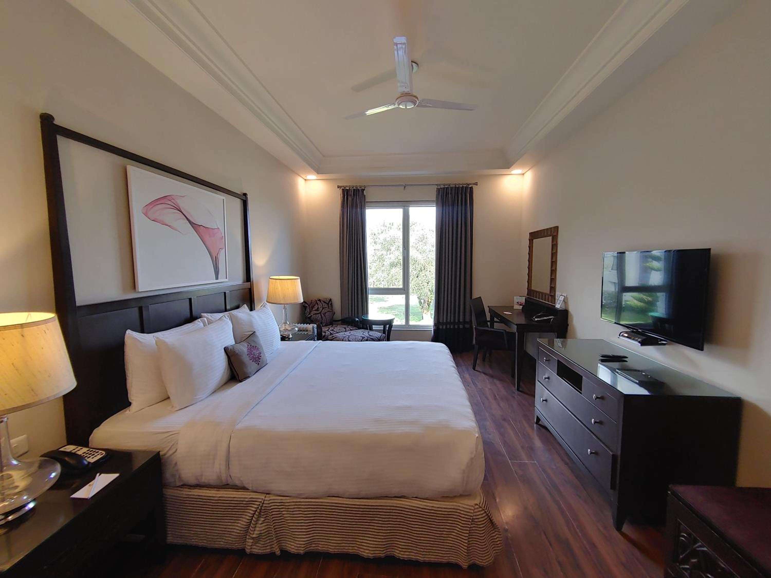 Premium Suite - Photo 3