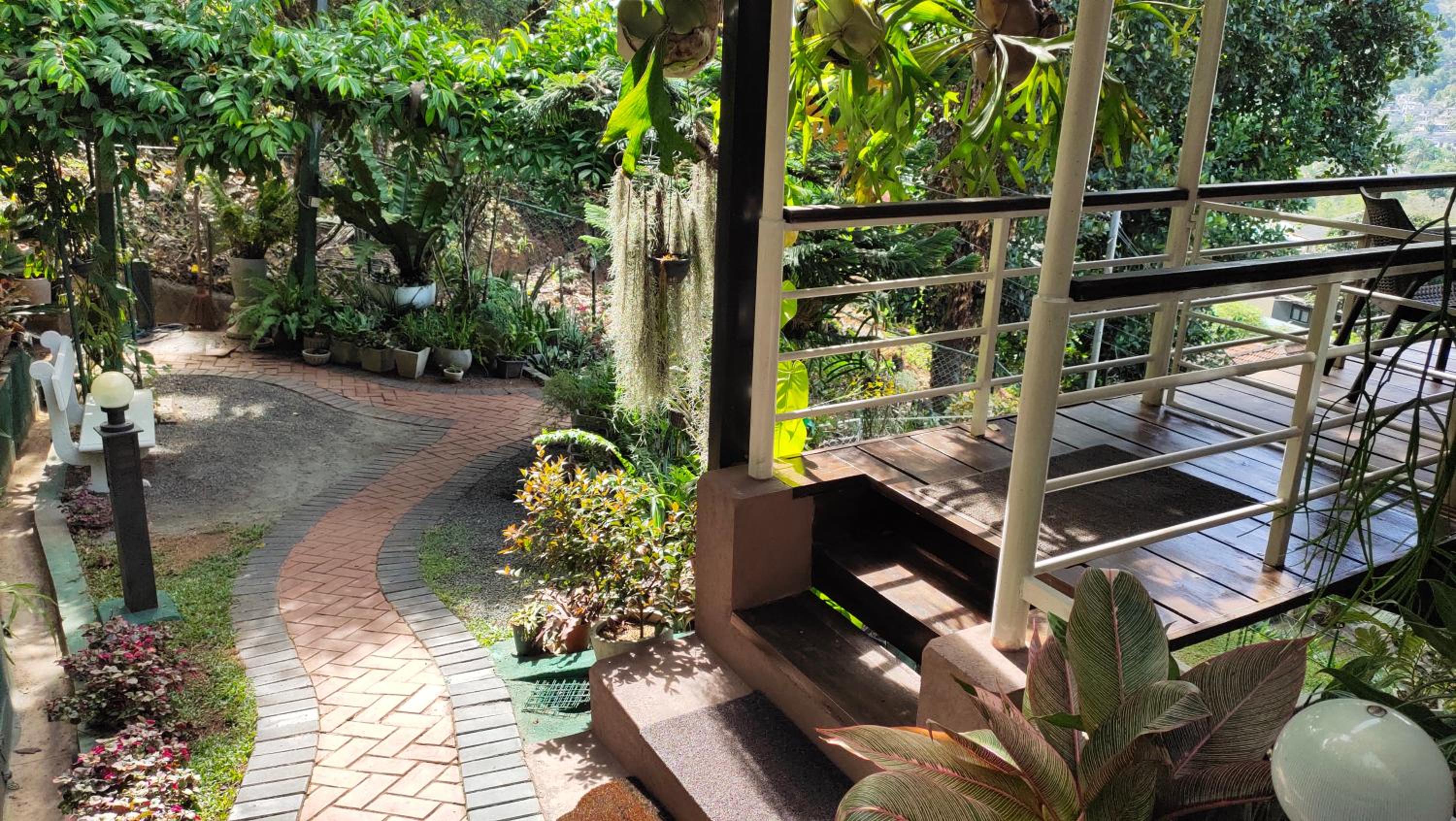 Double Room with Patio photo 3