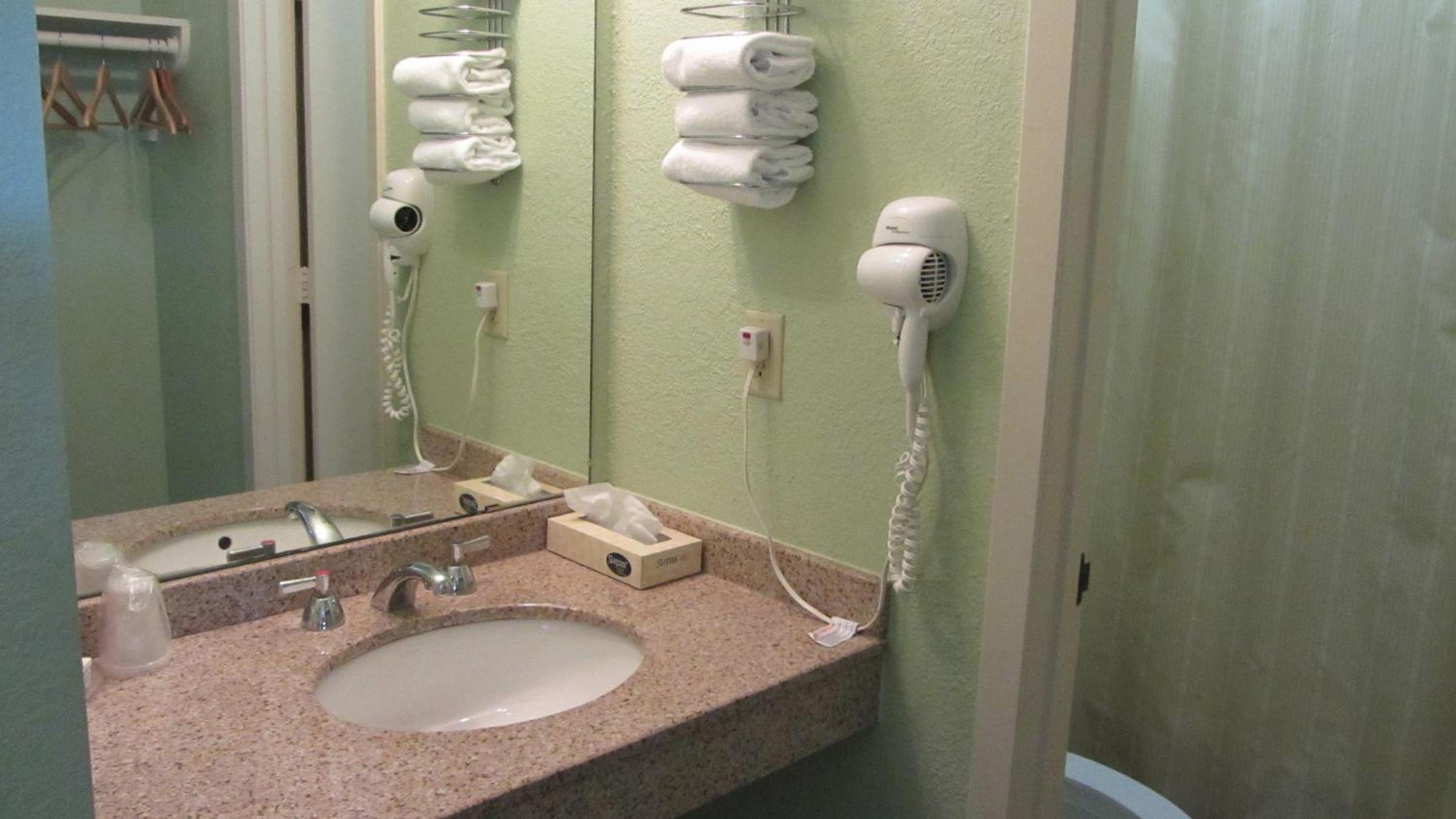 King Room - Non-Smoking Pet Friendly - Photo 6