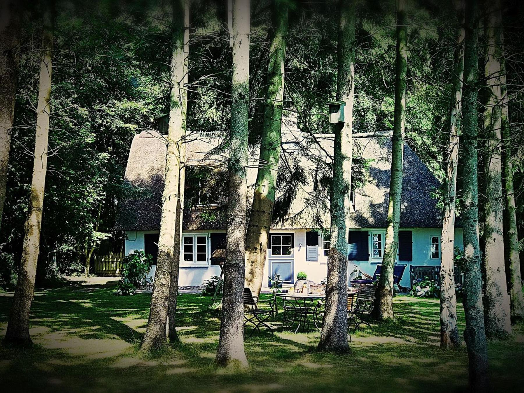 Vacation Home photo 2