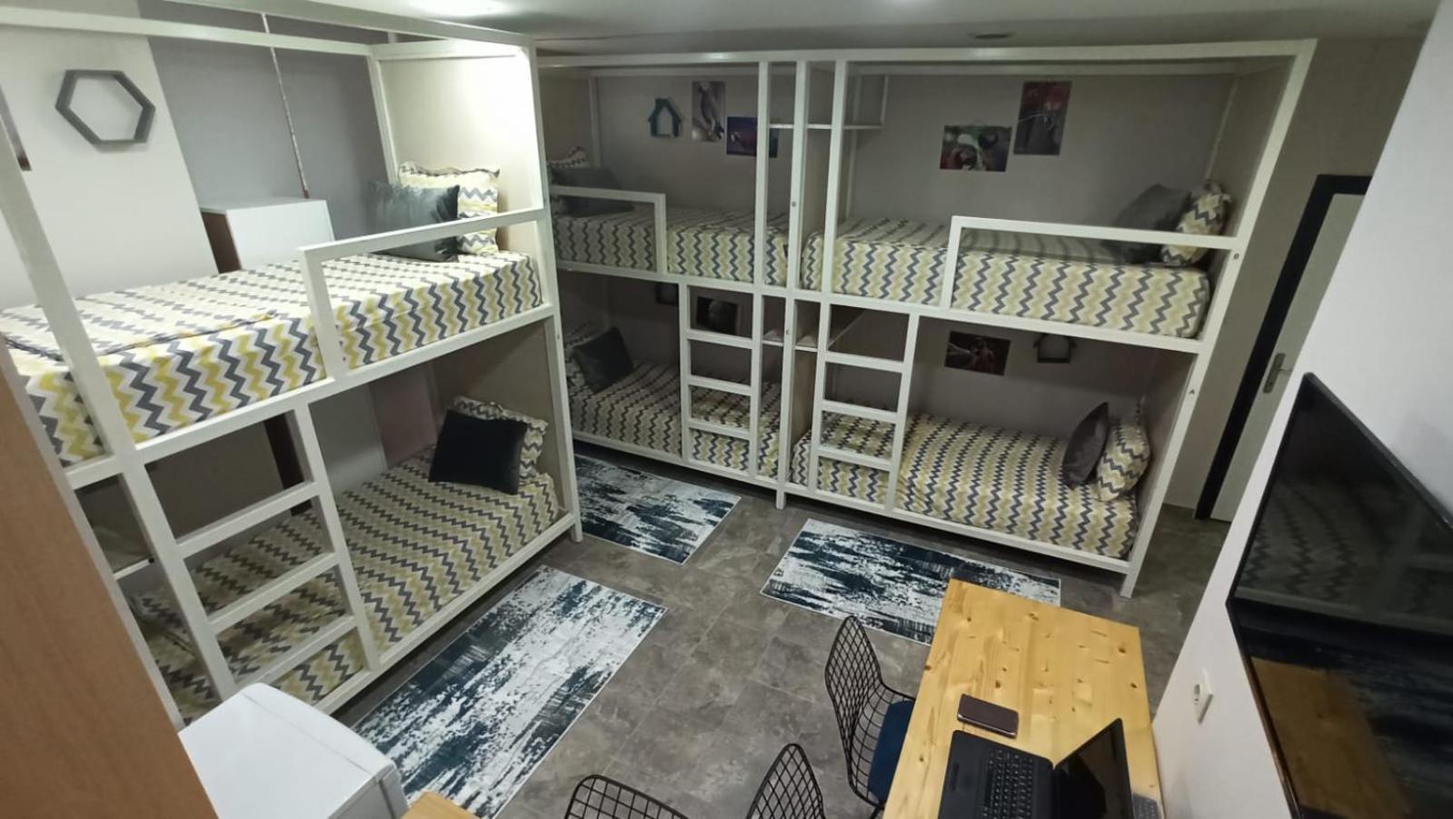 Bunk Bed In Male Dormitory Room  photo 3