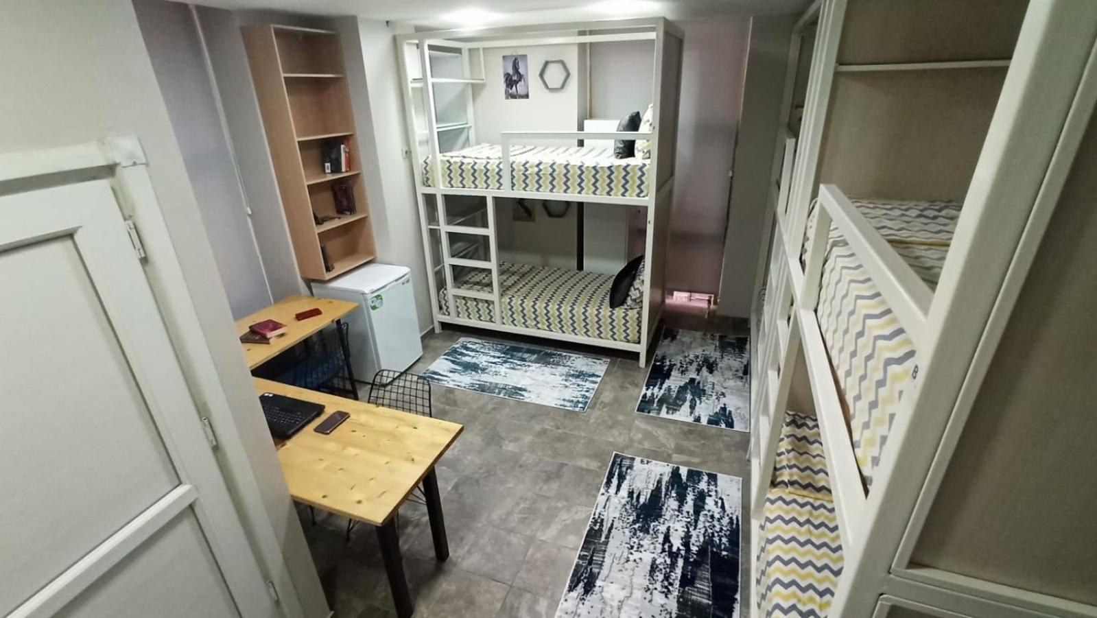Bunk Bed In Male Dormitory Room  photo 2