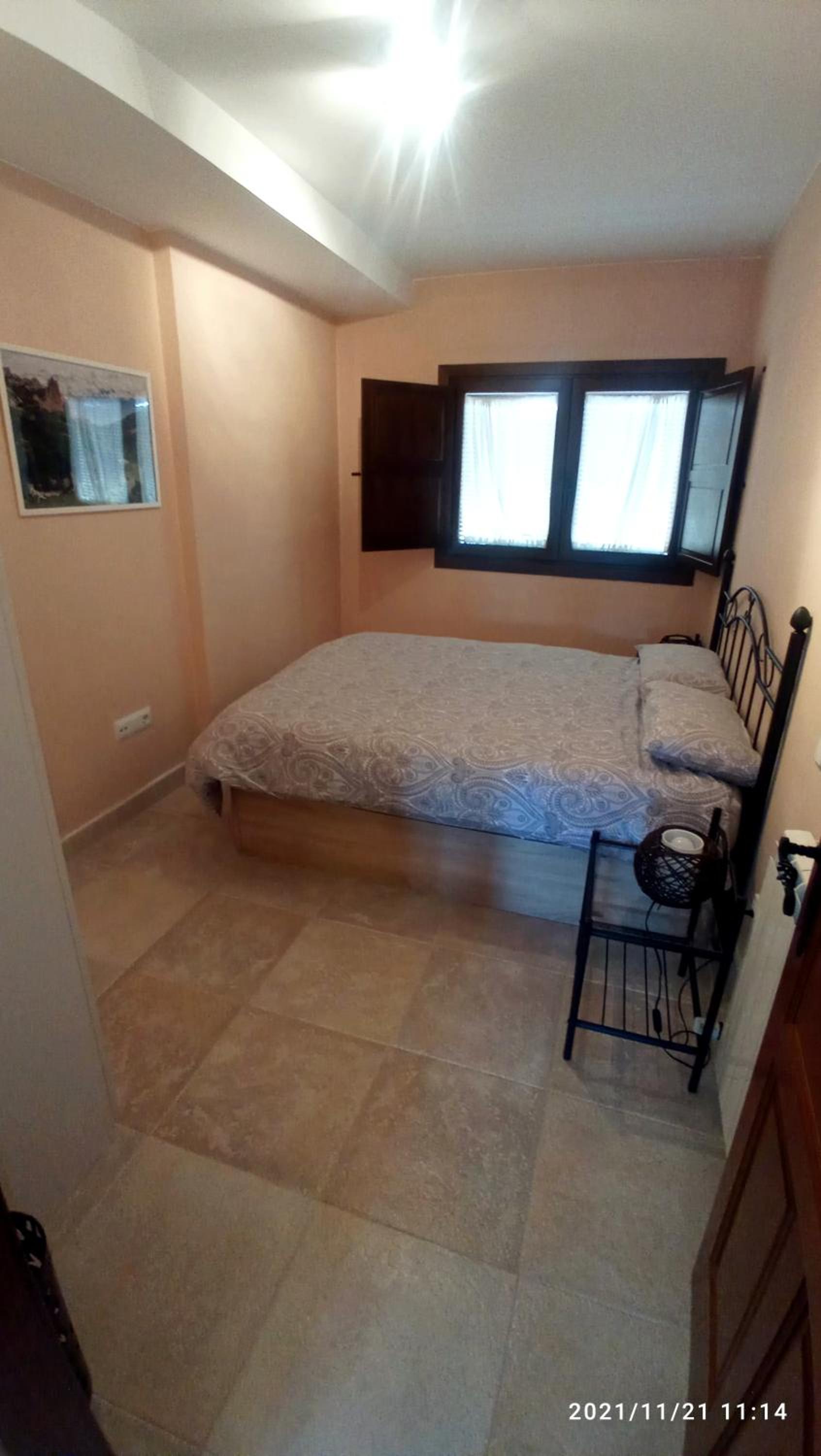 Apartment with Terrace photo 3