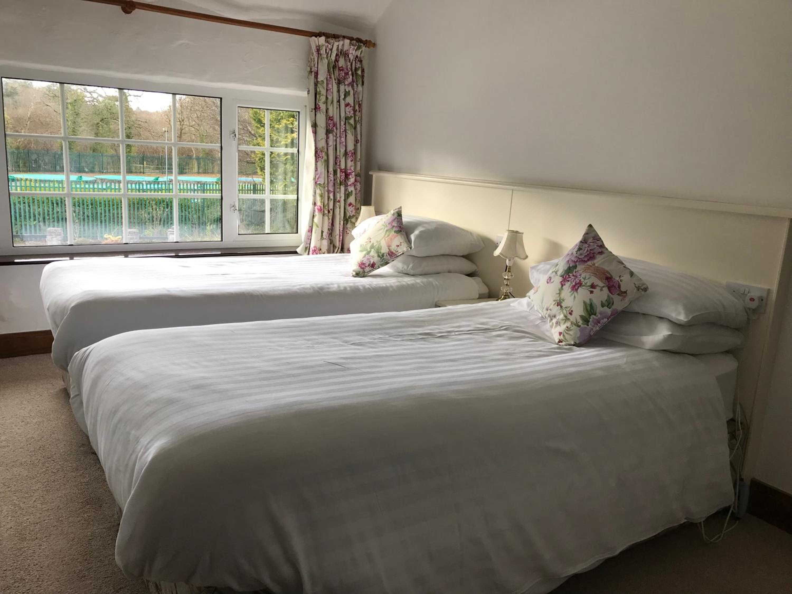 Twin Room photo 2