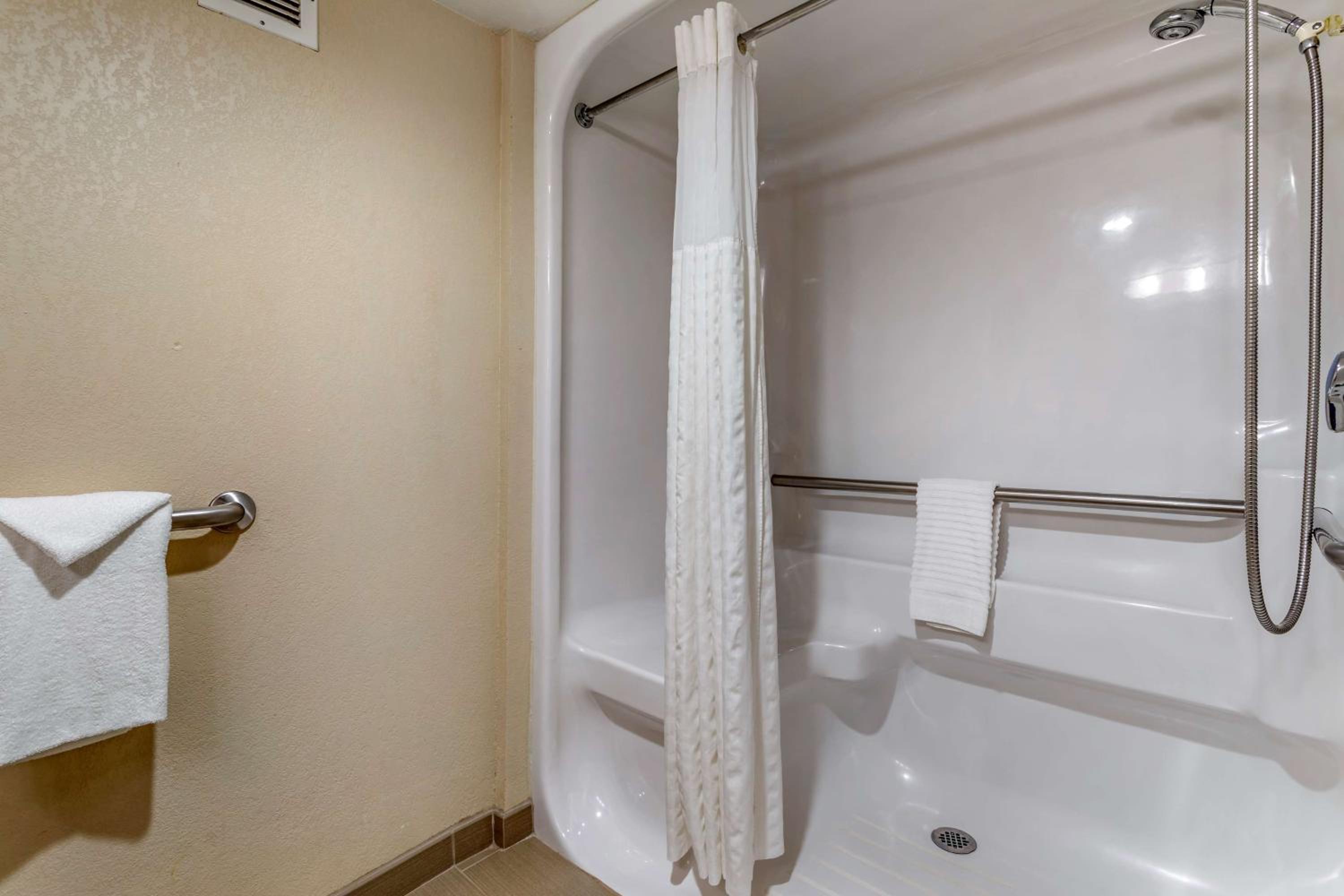King Room with Roll-In Shower - Accessible/Non-Smoking - Photo 3