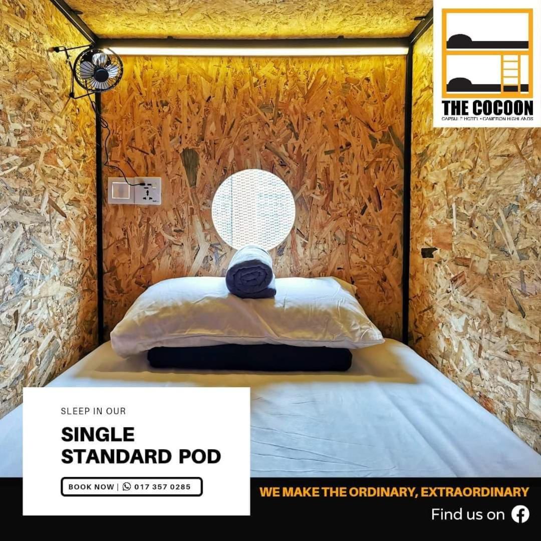 Single Bed in Female Dormitory Room
