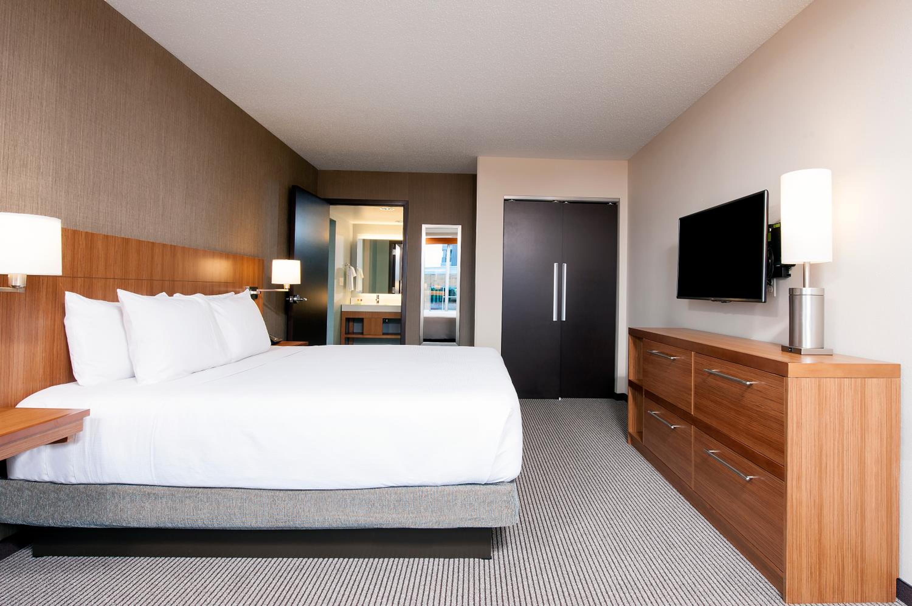 King Suite photo 1