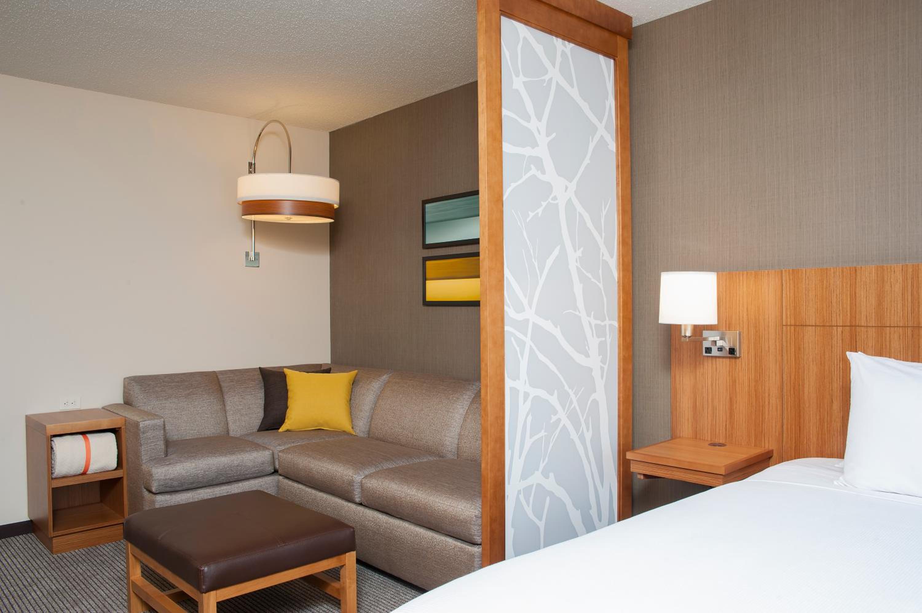 King Suite photo 2