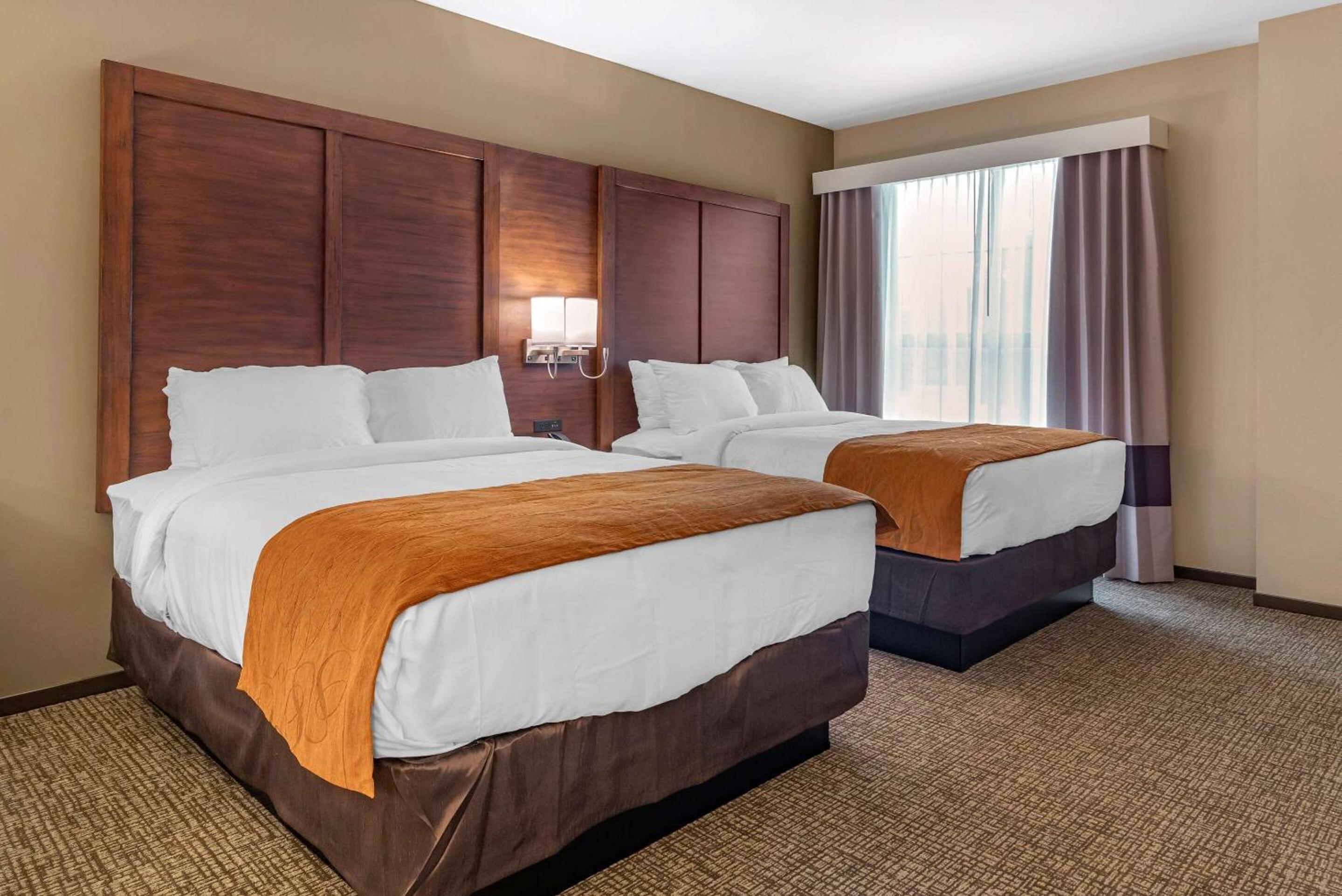 Queen Suite with Two Queen Beds - Non Smoking - Photo 3