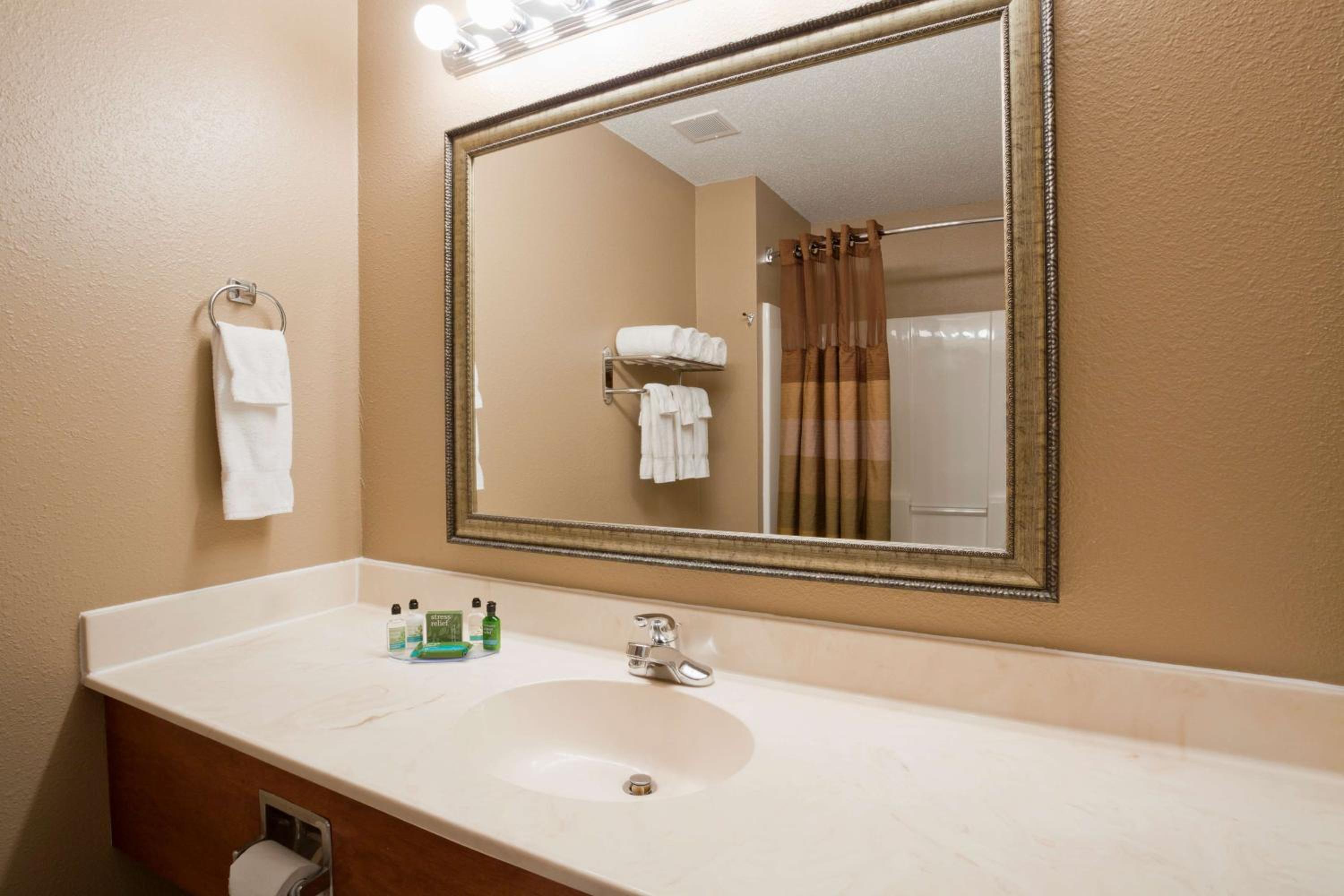 Suite - Photo 7