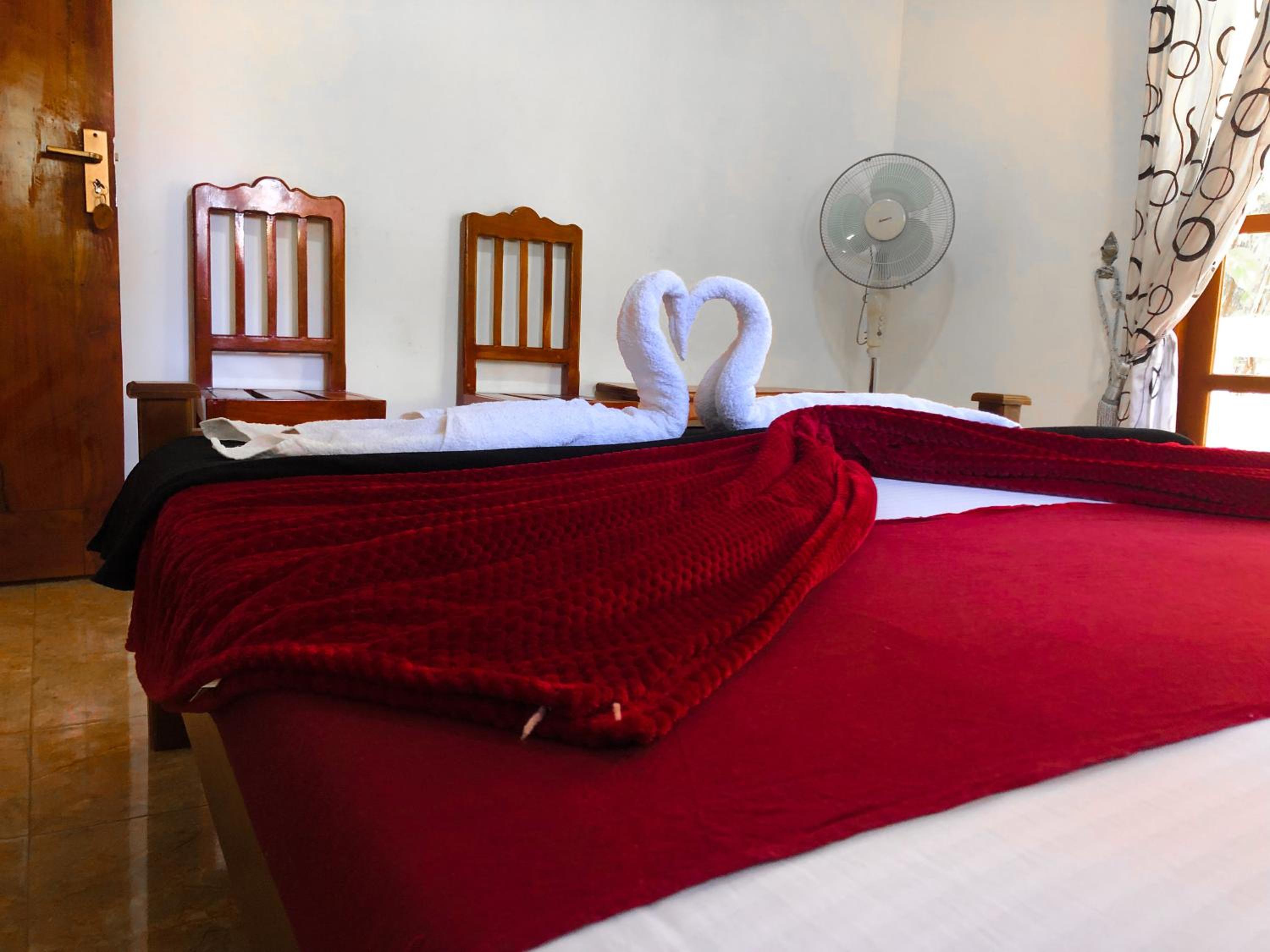 Standard Double Room - Photo 19