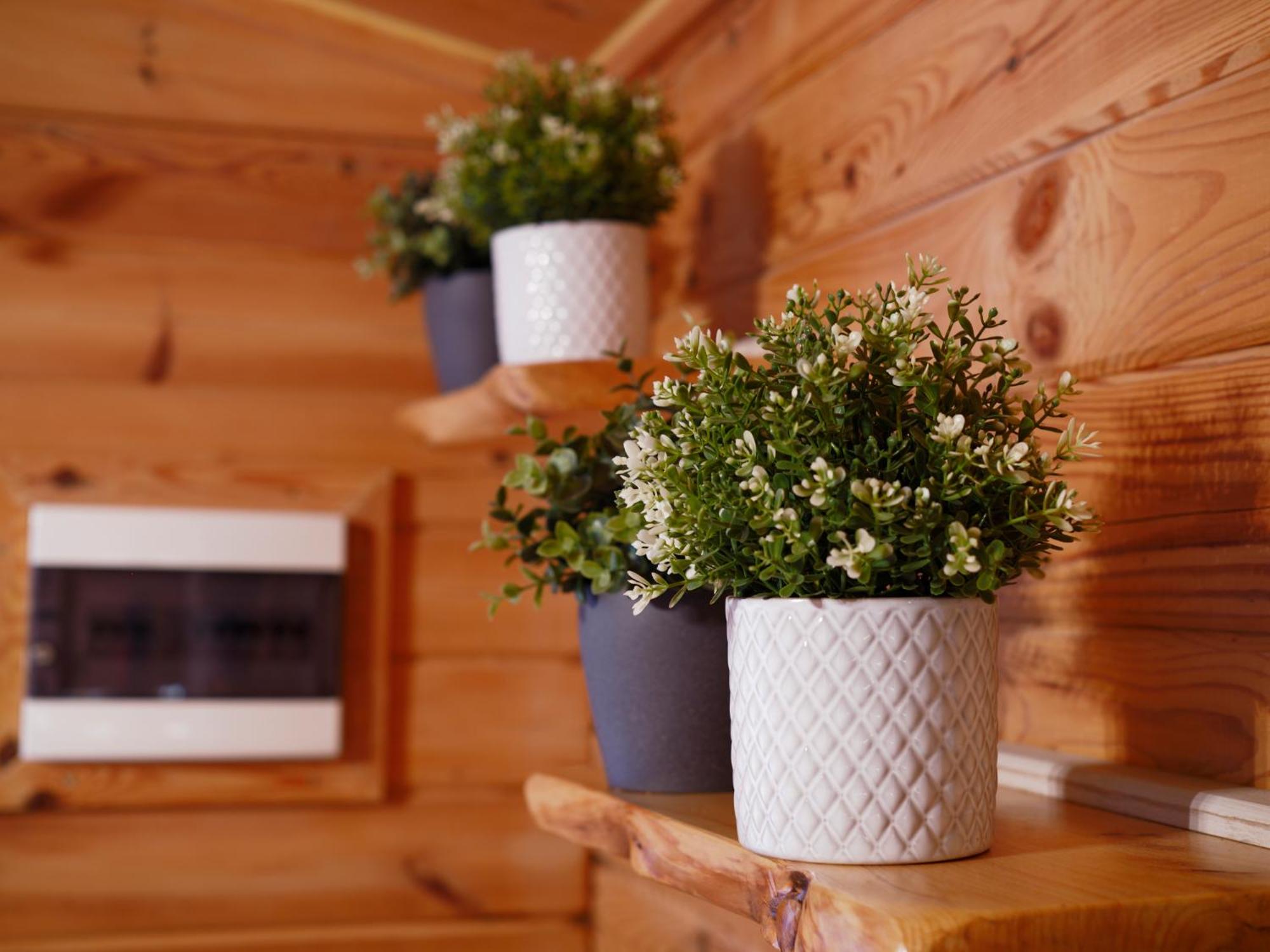 Superior Bungalow - Photo 2