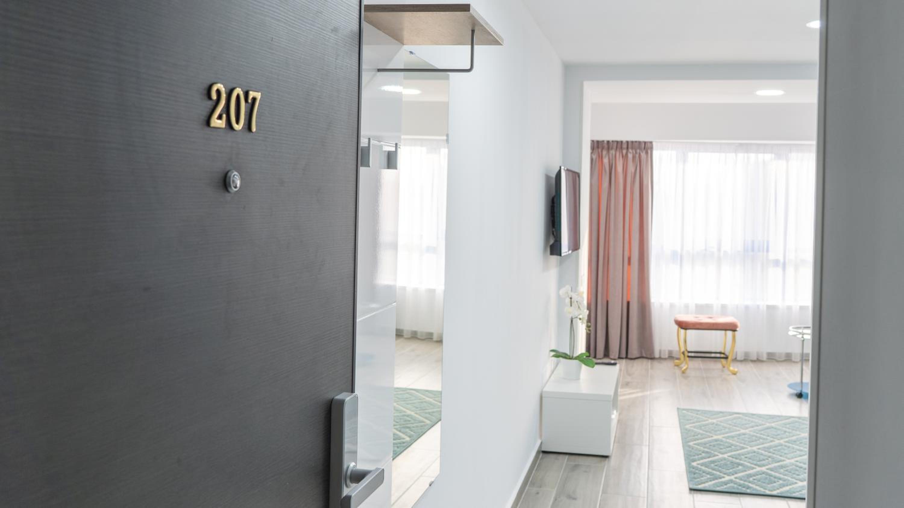 Deluxe Apartment photo 1