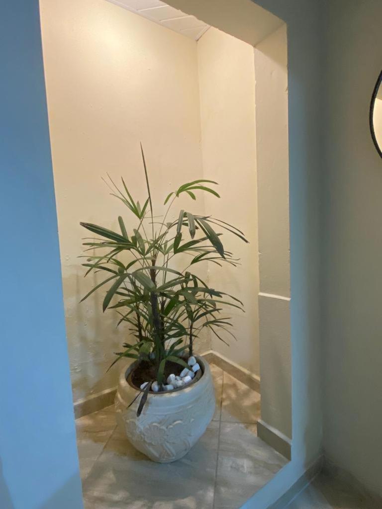 Apartment with Mountain View - Photo 15