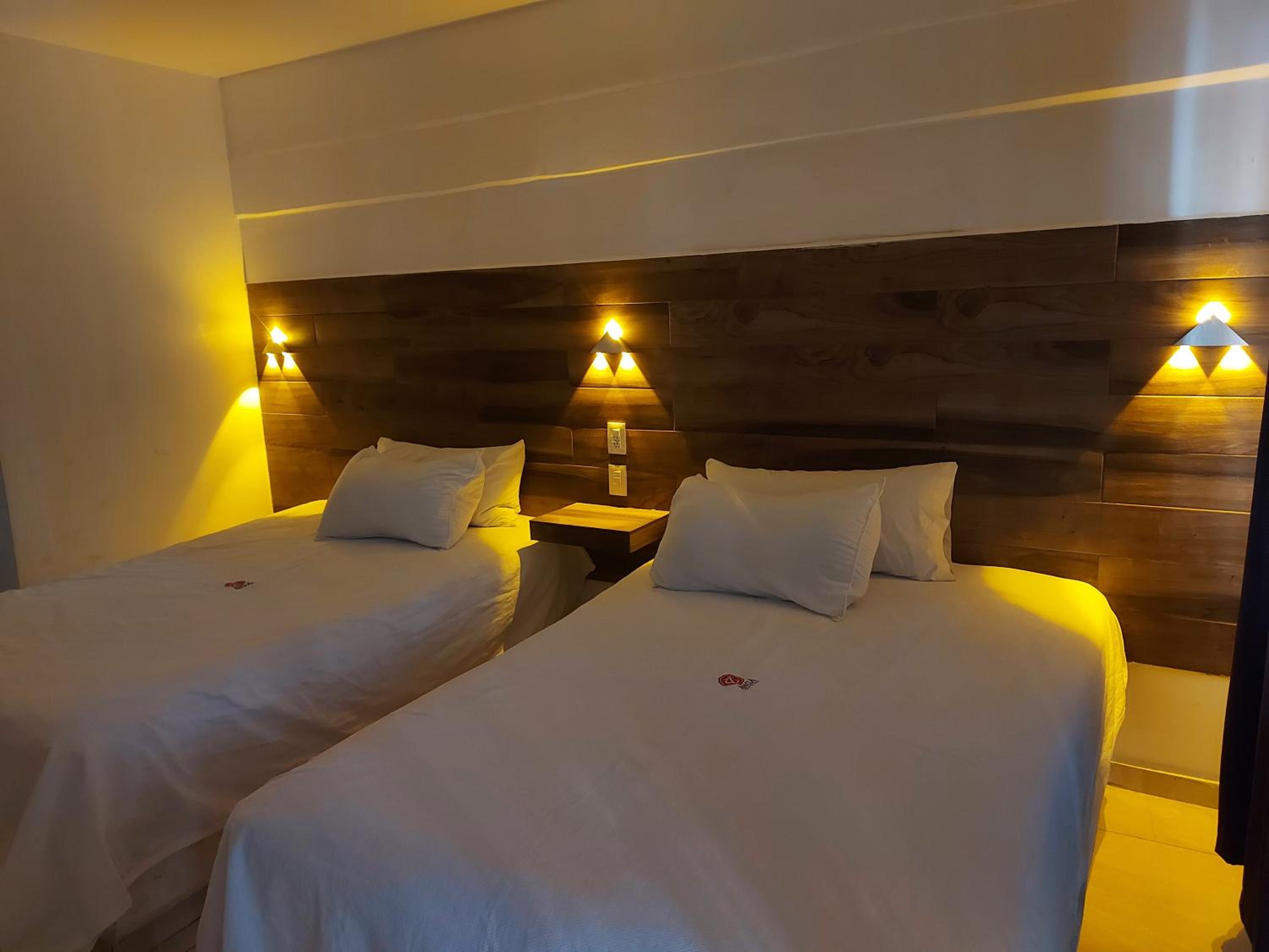 Double or Twin Room photo 3