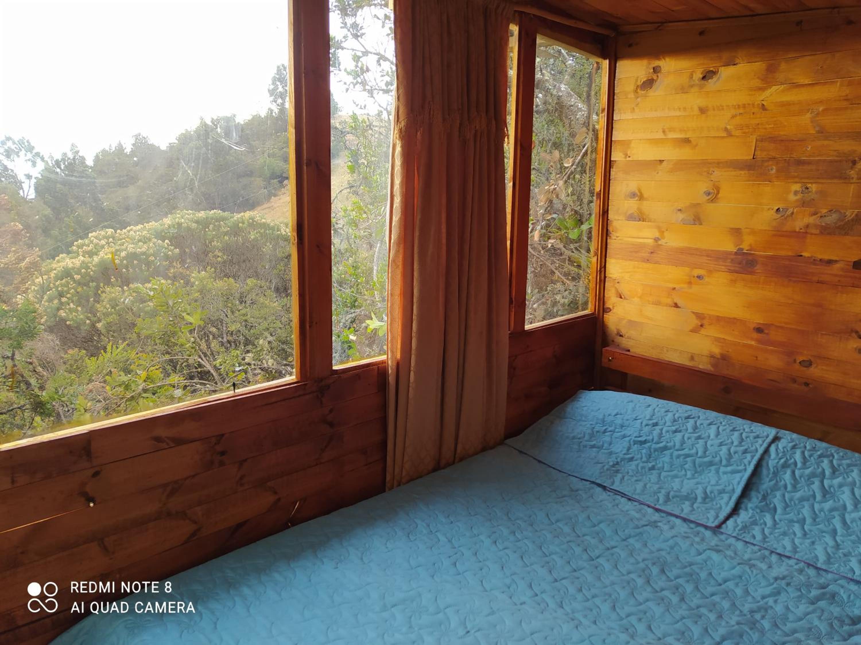One-Bedroom Chalet photo 1