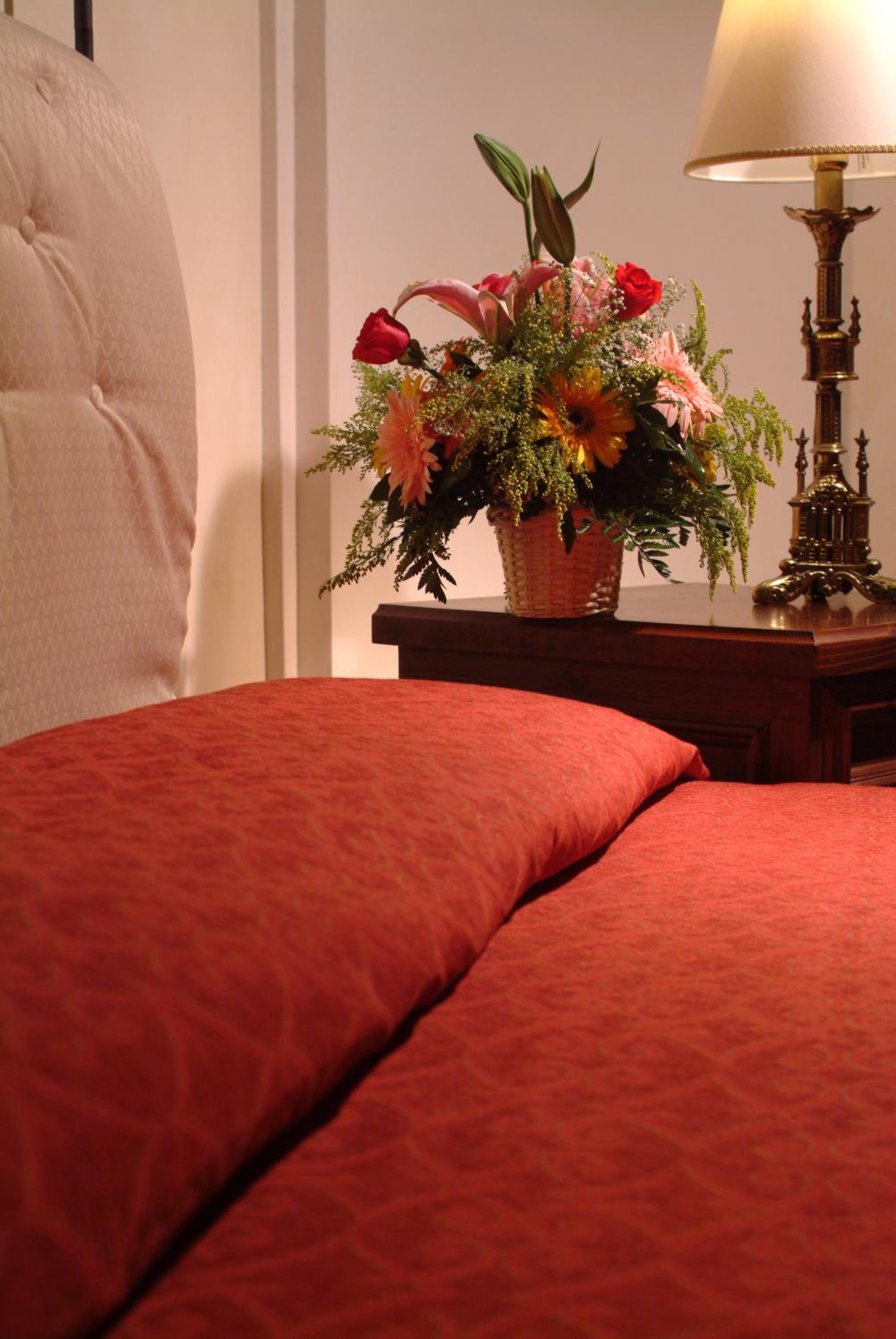 Single Room photo 1