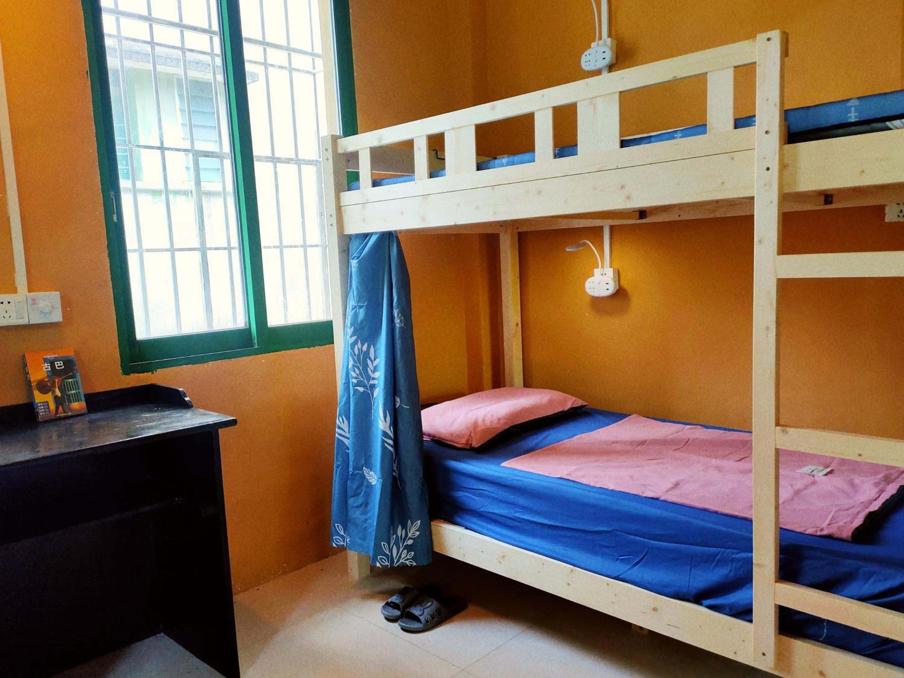 Bed in 6-Bed Female Dormitory Room - Shared Bathroom  photo 1