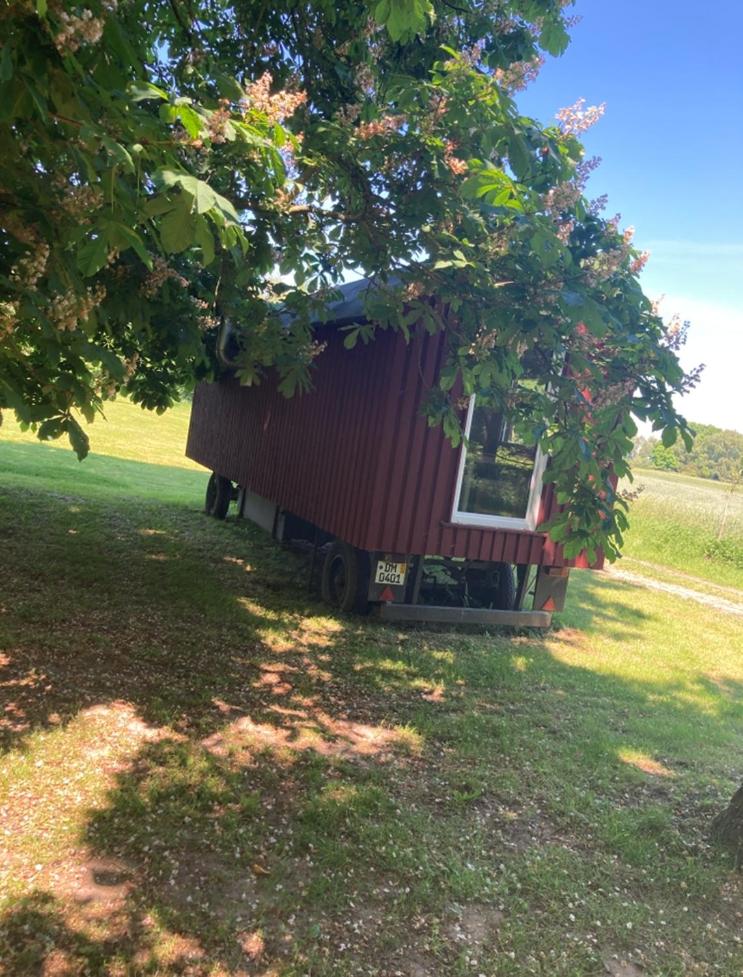Mobile Home photo 3