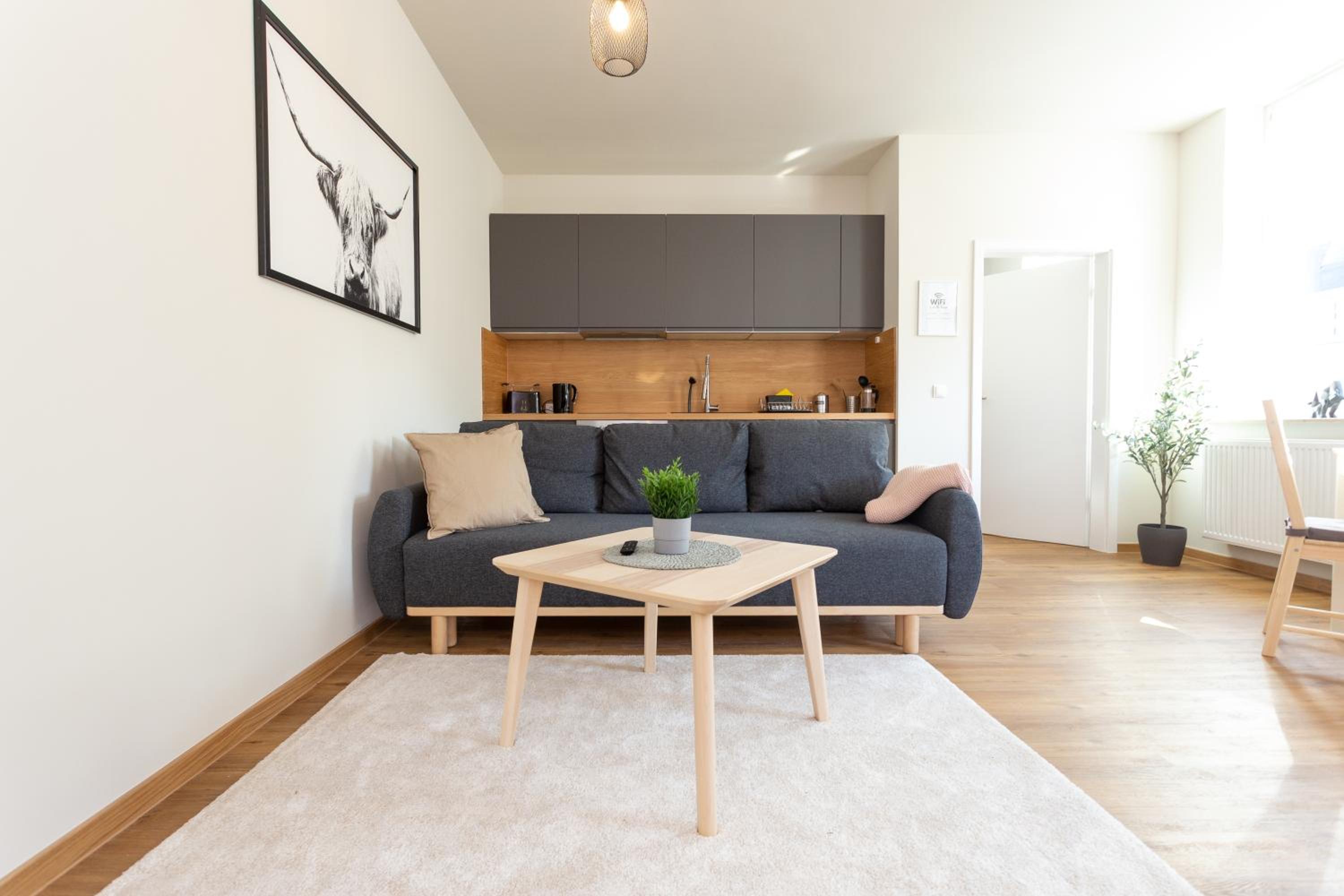 Deluxe Apartment photo 1