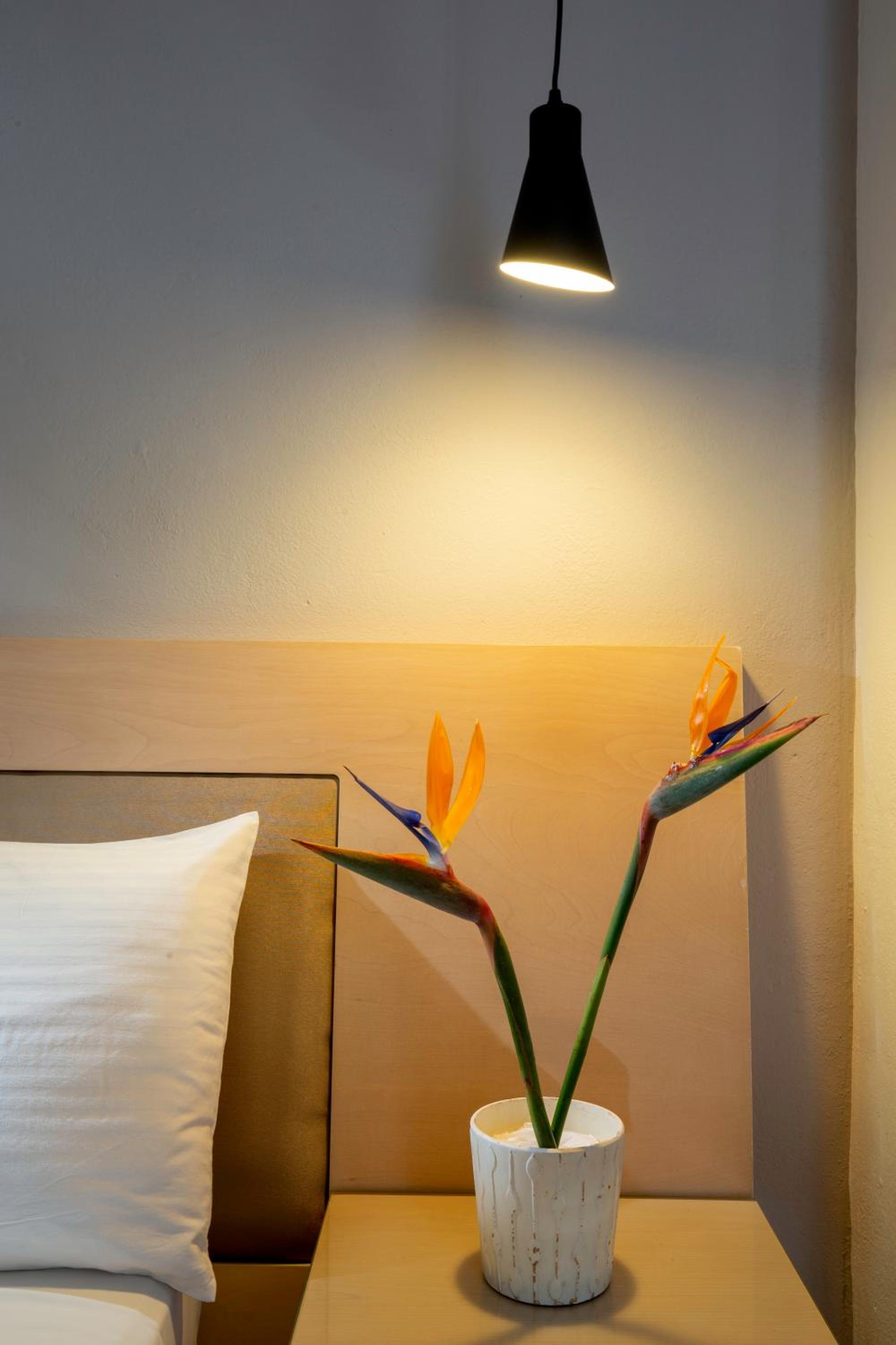 Double or Twin Room - Photo 2