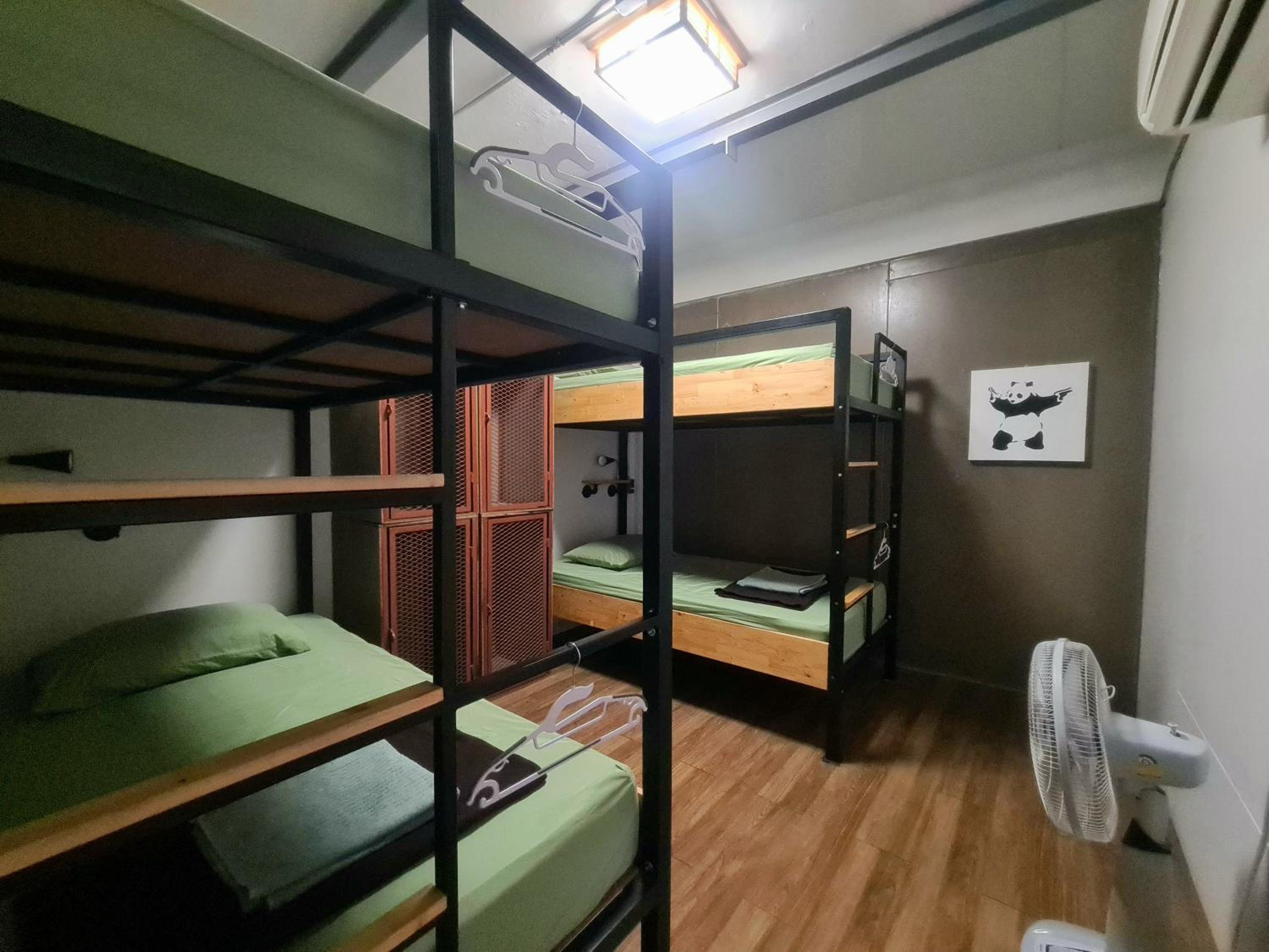4-Bed Male Dormitory Room  photo 1