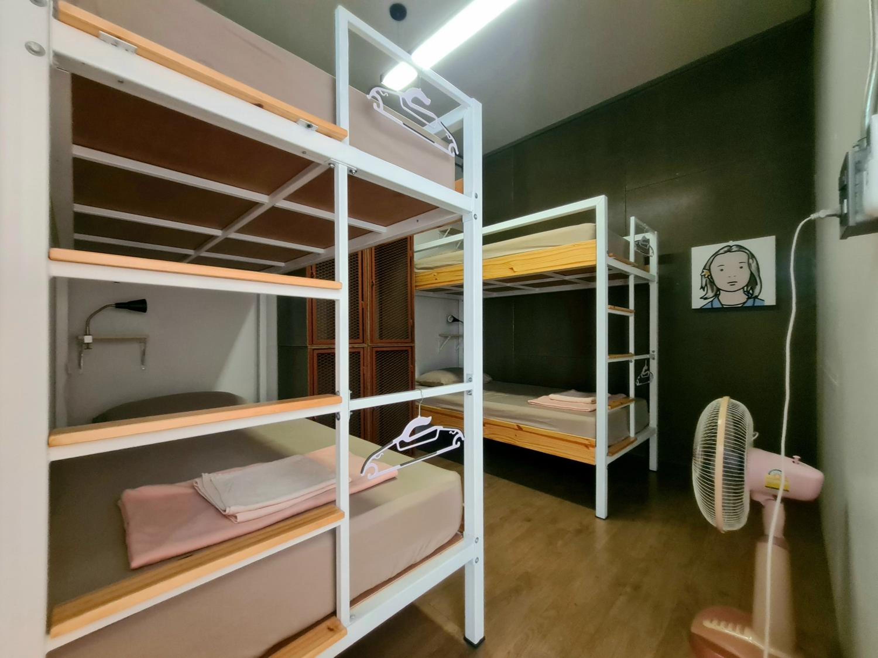 4-Bed Female Dormitory Room photo 1