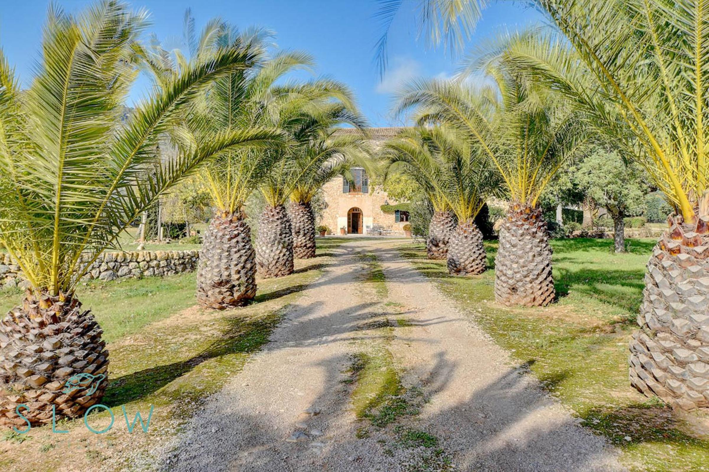 Superior Villa photo 2