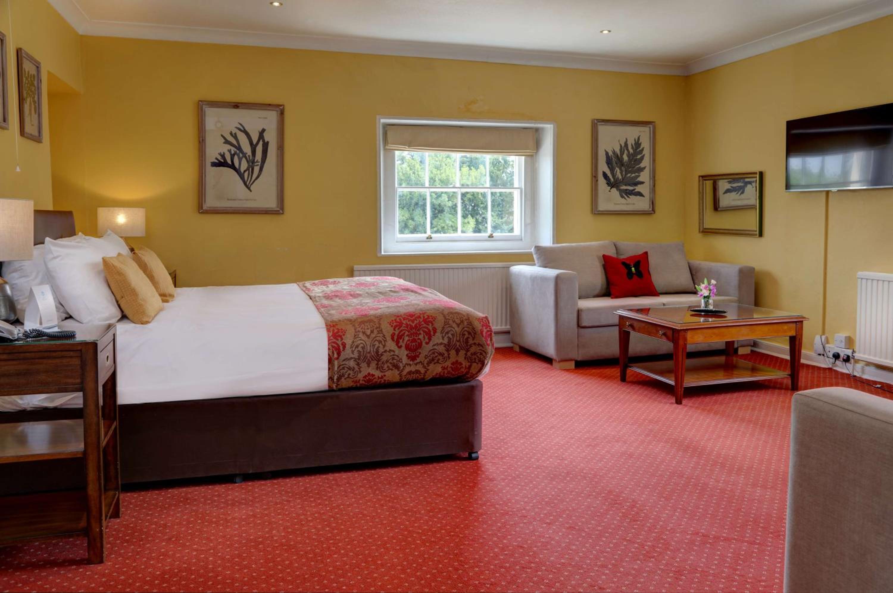 Superior Double Room - Non-Smoking - Photo 6
