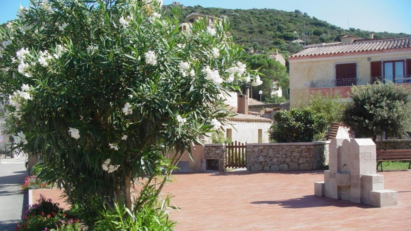 Apartment with Sea View photo 3