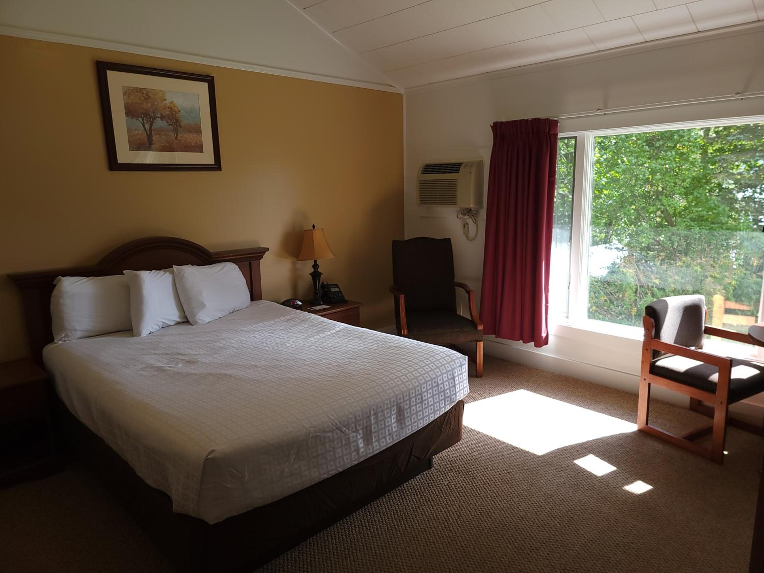 Standard Queen Room photo 1