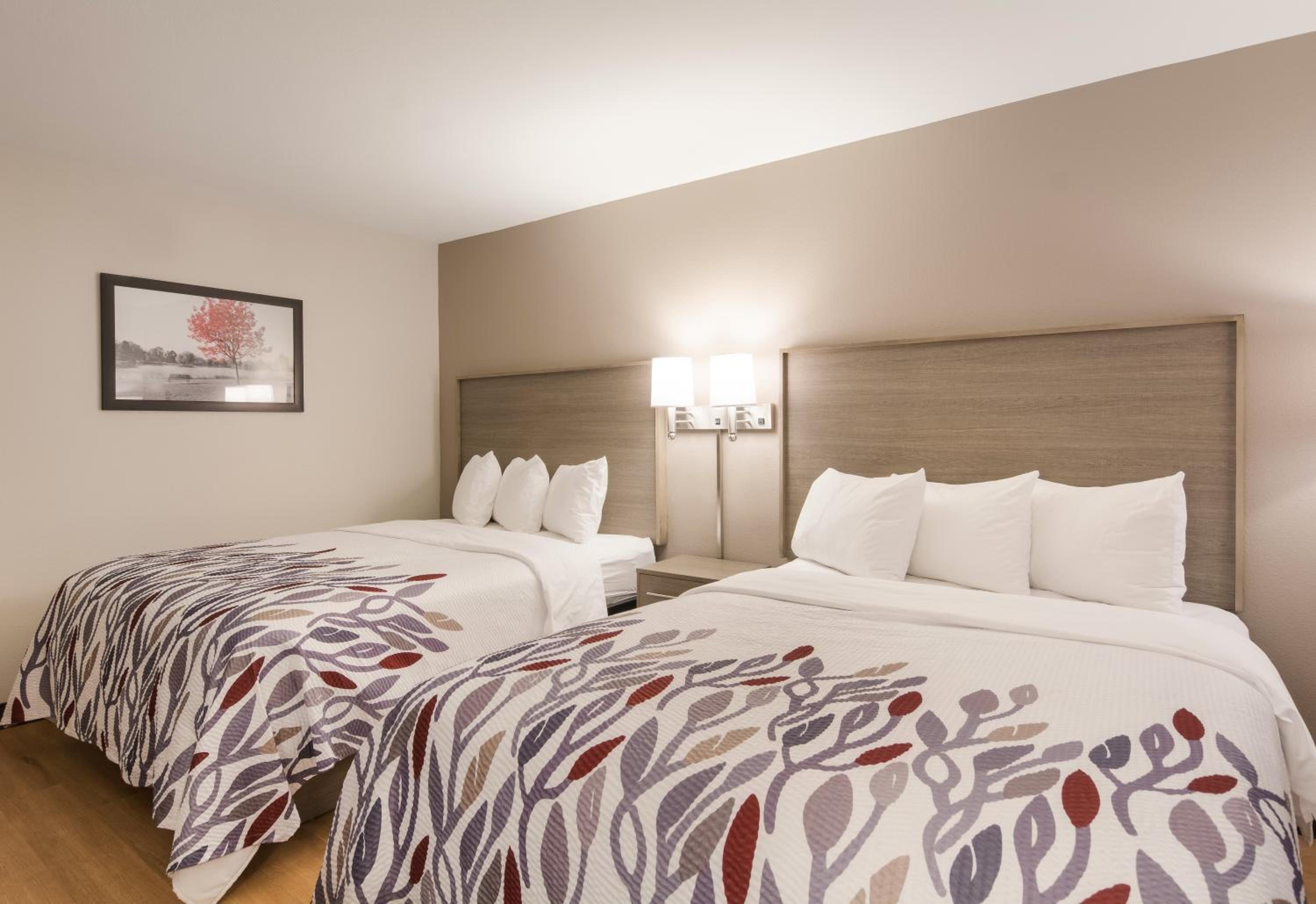 Red Roof Inn Chester, Photo 4