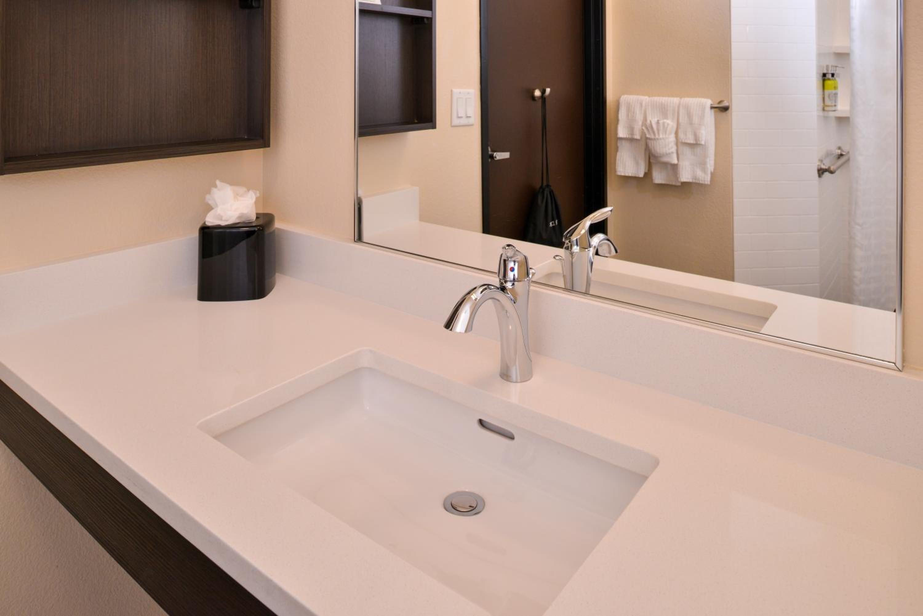 King Studio Suite with Mobility Accessible Roll In Shower - Non-Smoking - Photo 10