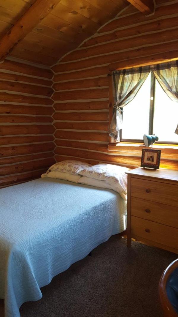 Cozy Cabin photo 3