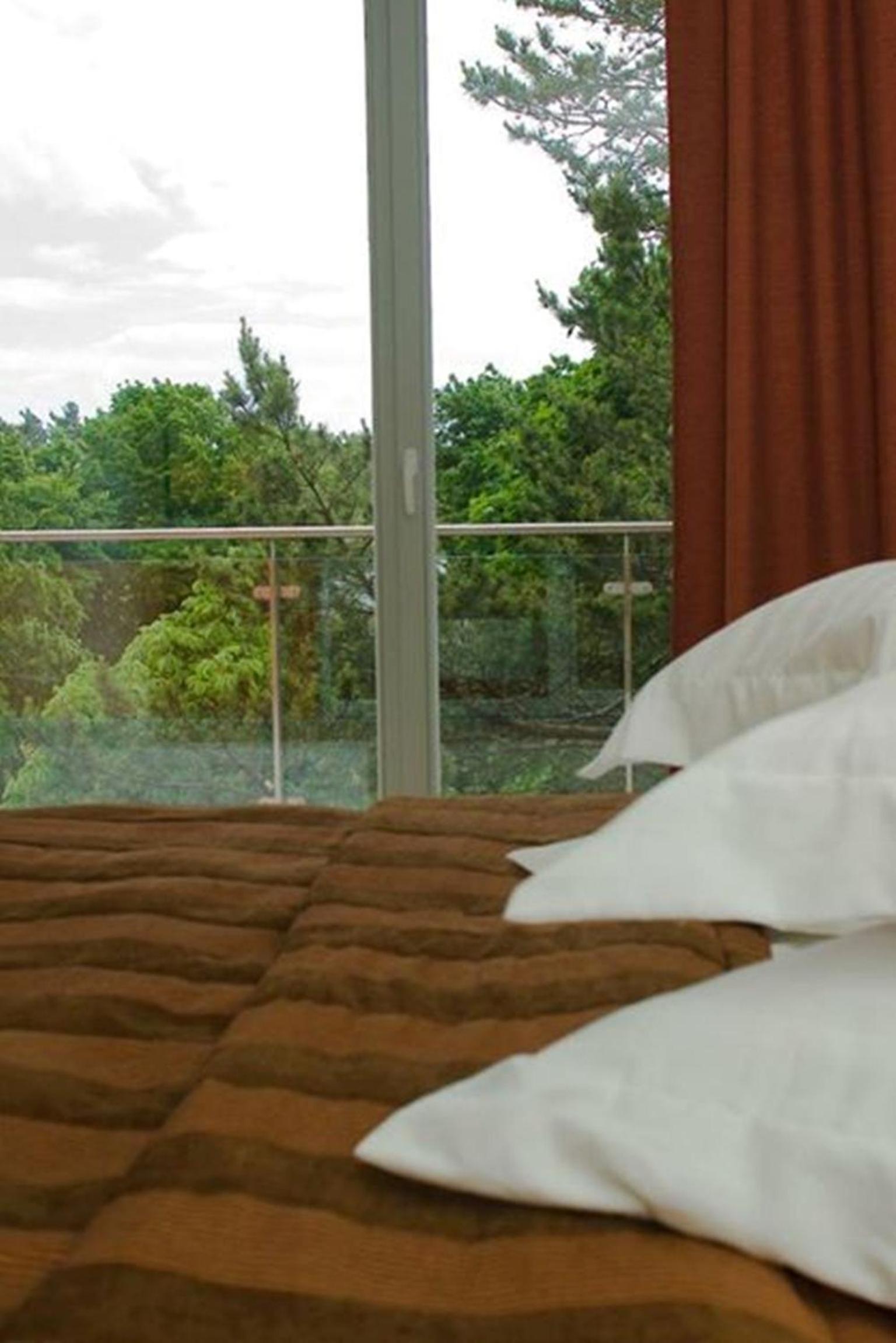Deluxe Room - Photo 4