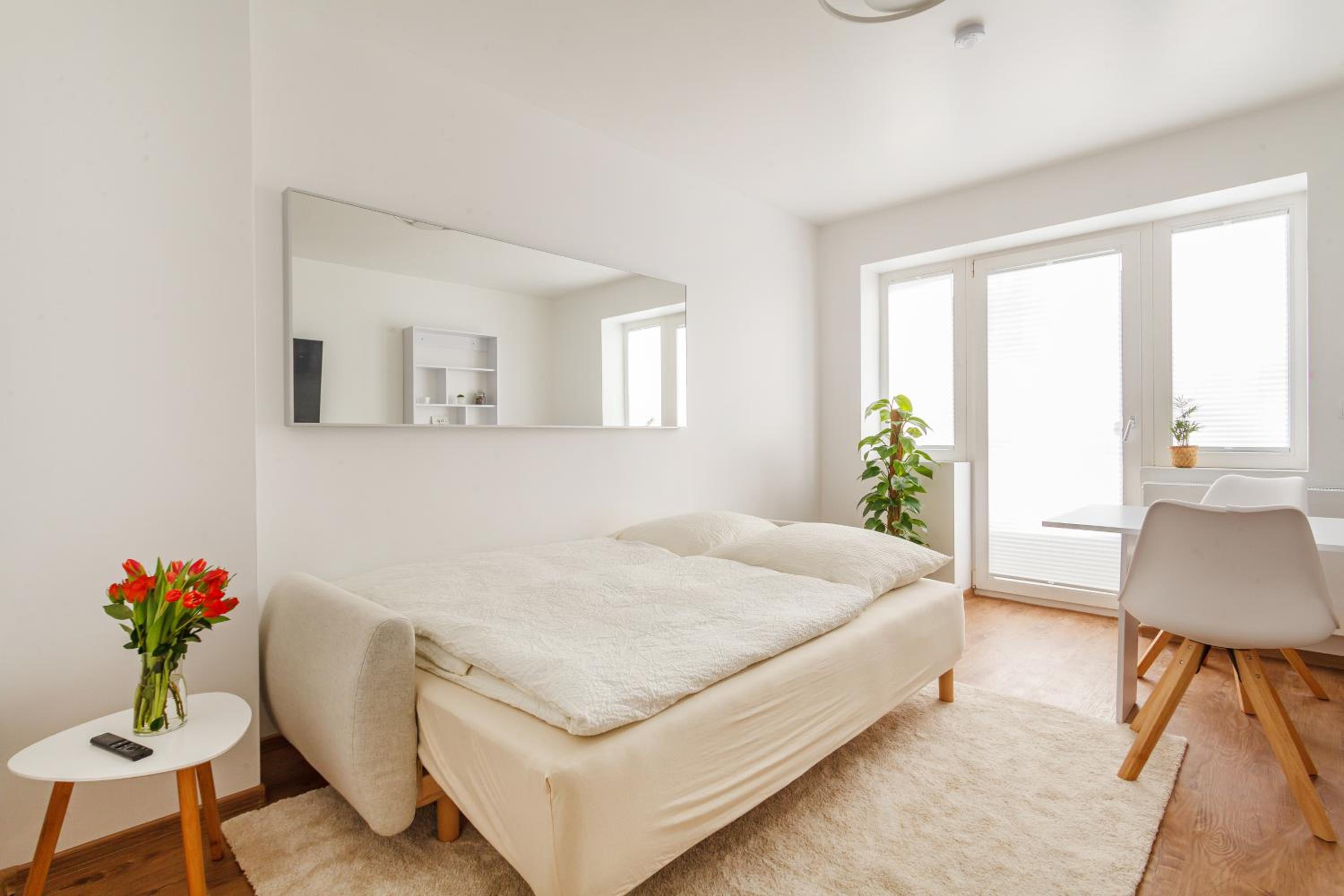 One-Bedroom Apartment - Photo 18