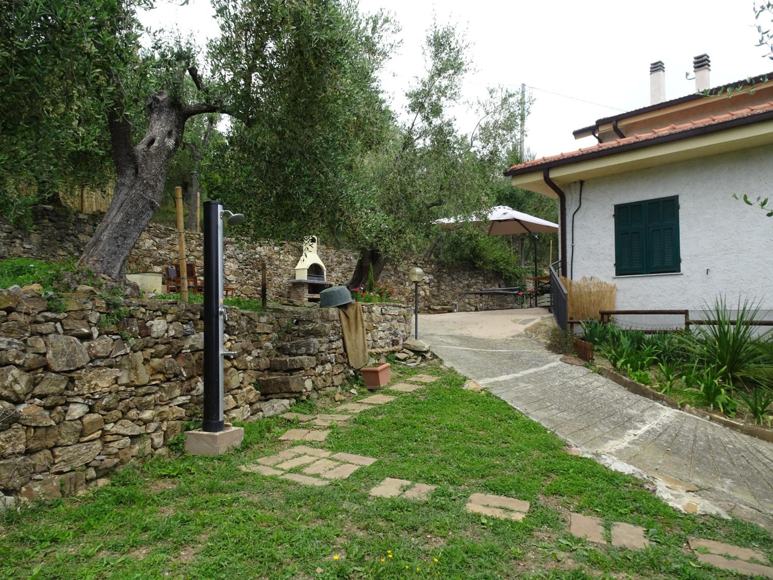 Apartment with Terrace photo 3