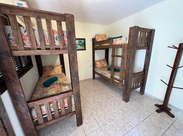 Bunk Bed In Male Dormitory Room  photo 1