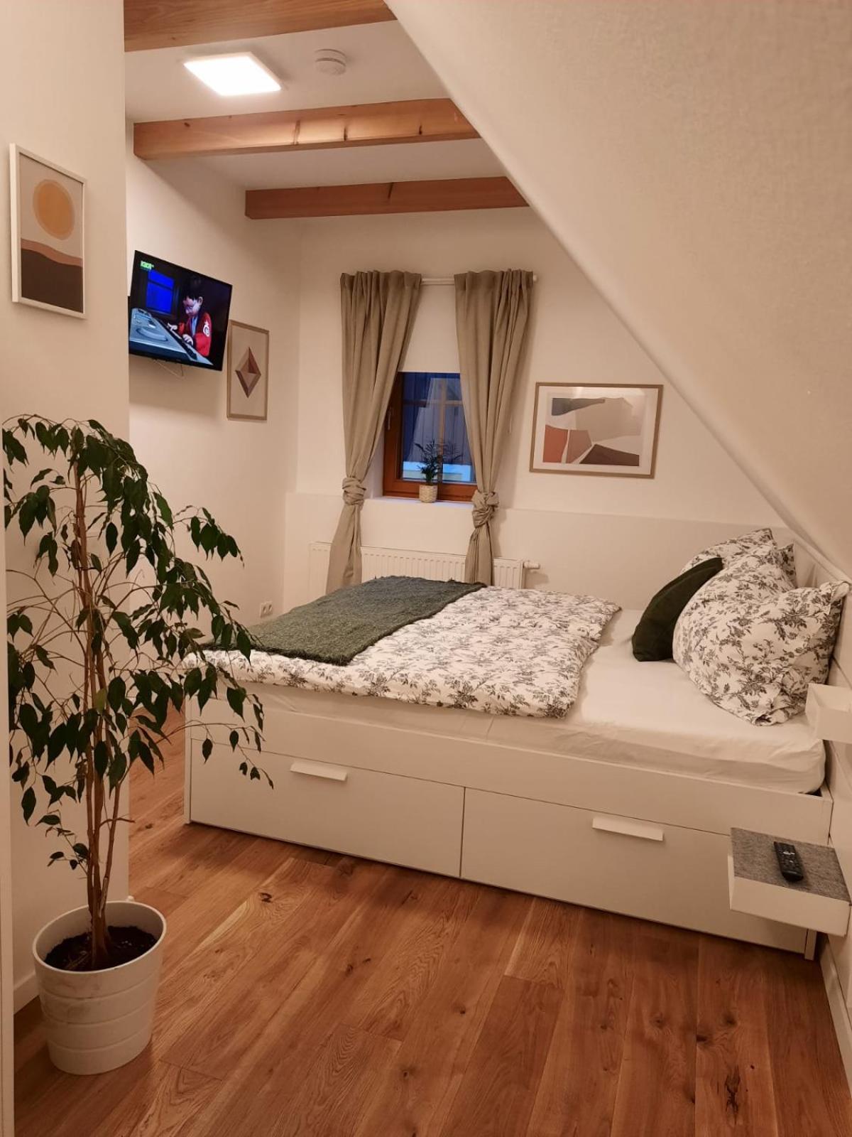 Apartment with Terrace photo 2