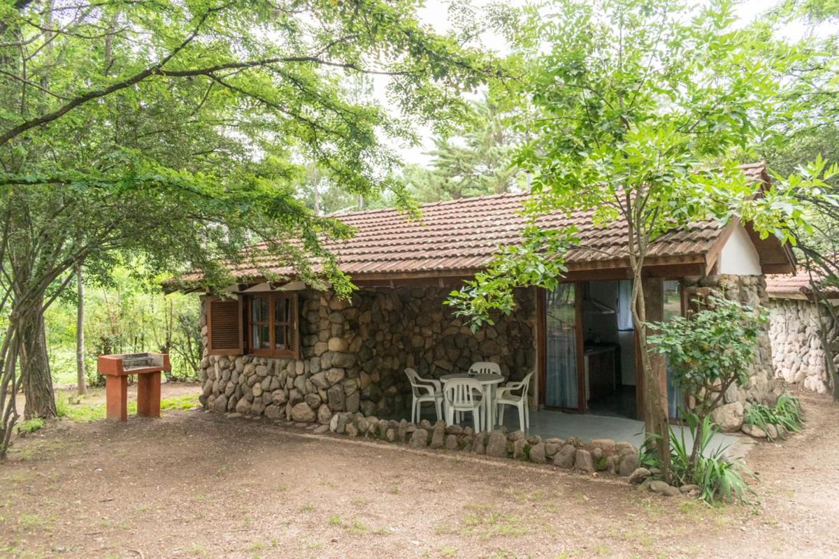 Family Bungalow photo 3