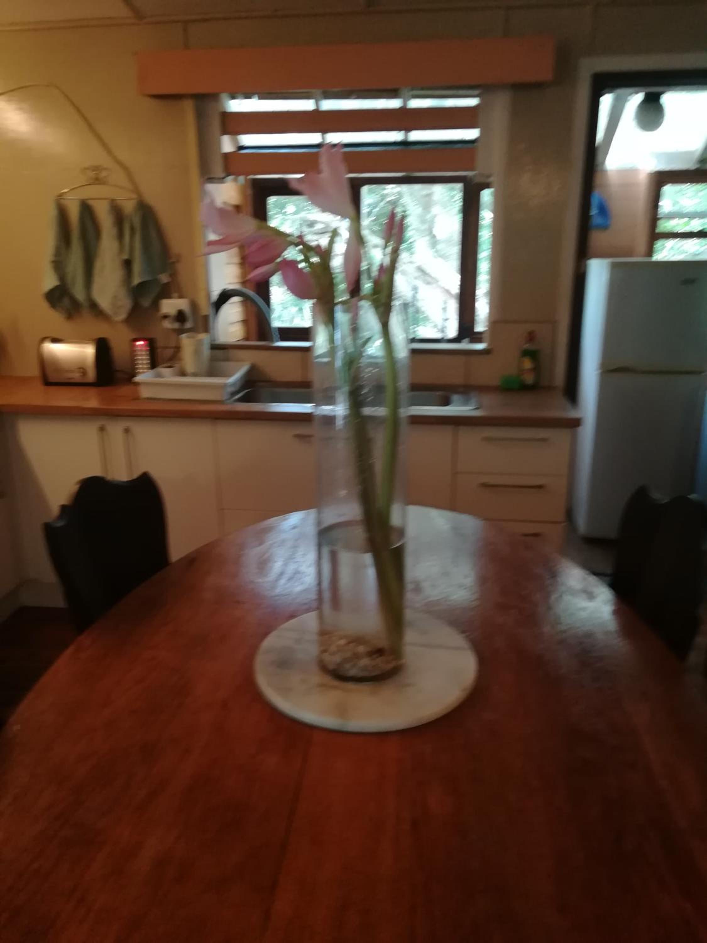 Vacation Home - Photo 50