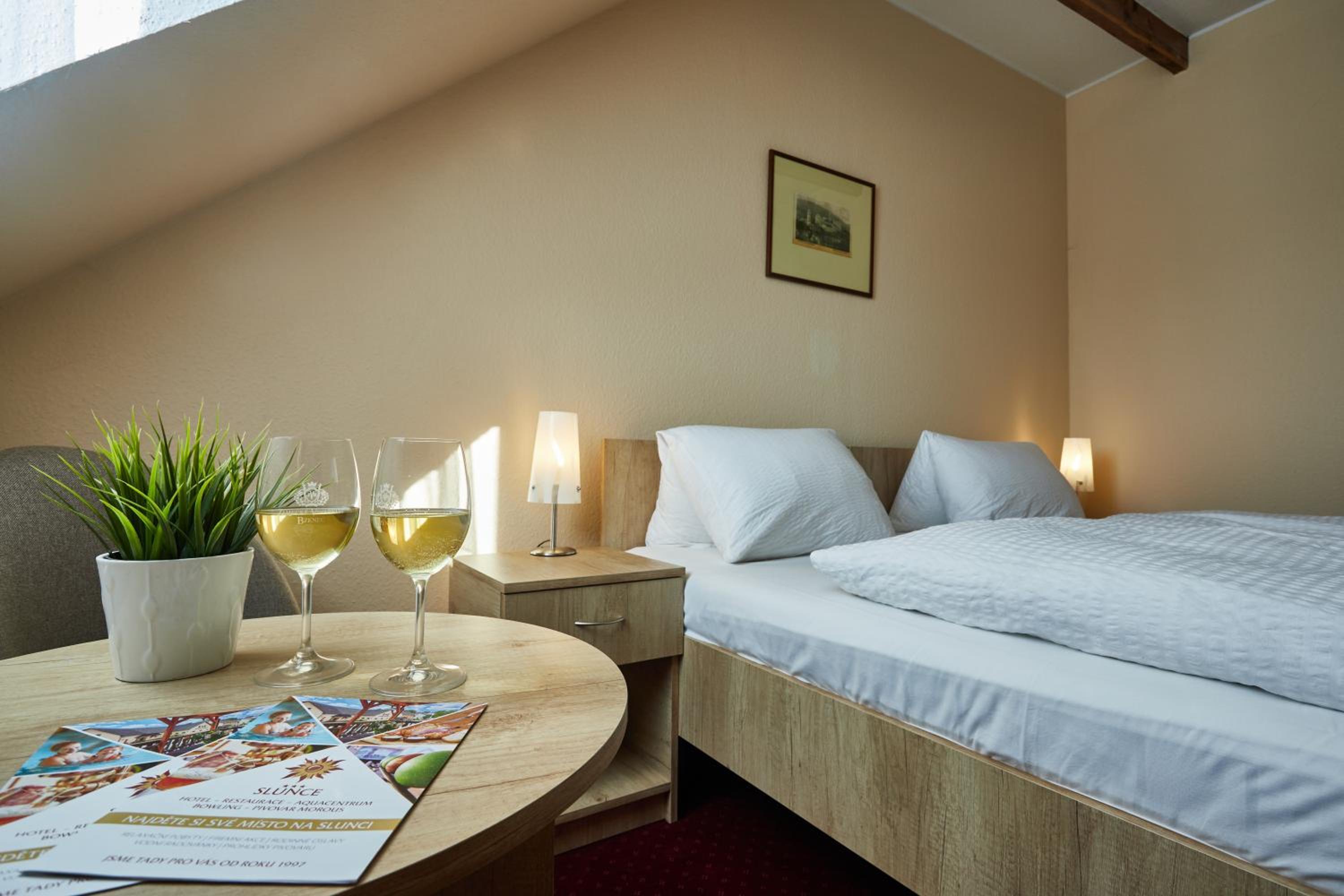 Double or Twin Room with Access to Wellness - Photo 5