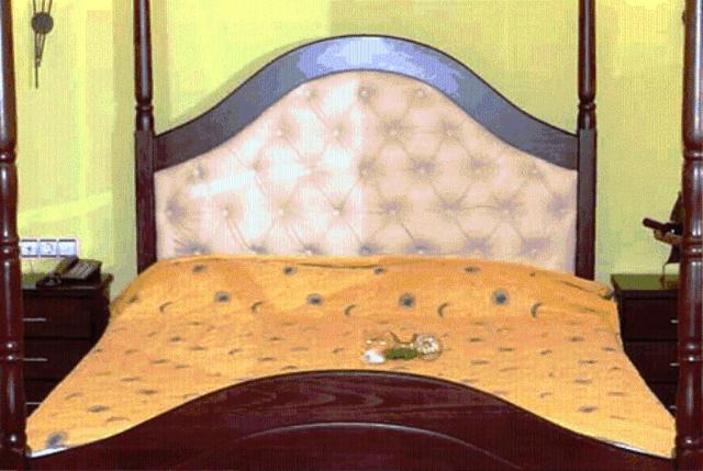 Suite - Photo 12