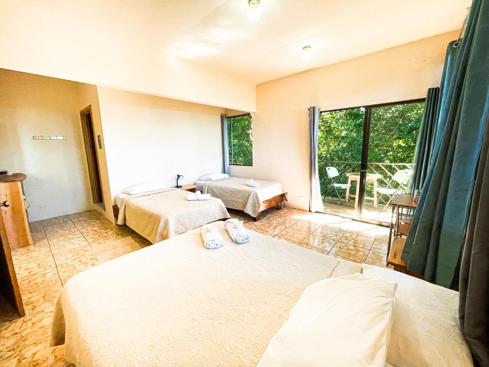 Deluxe Family Room photo 2