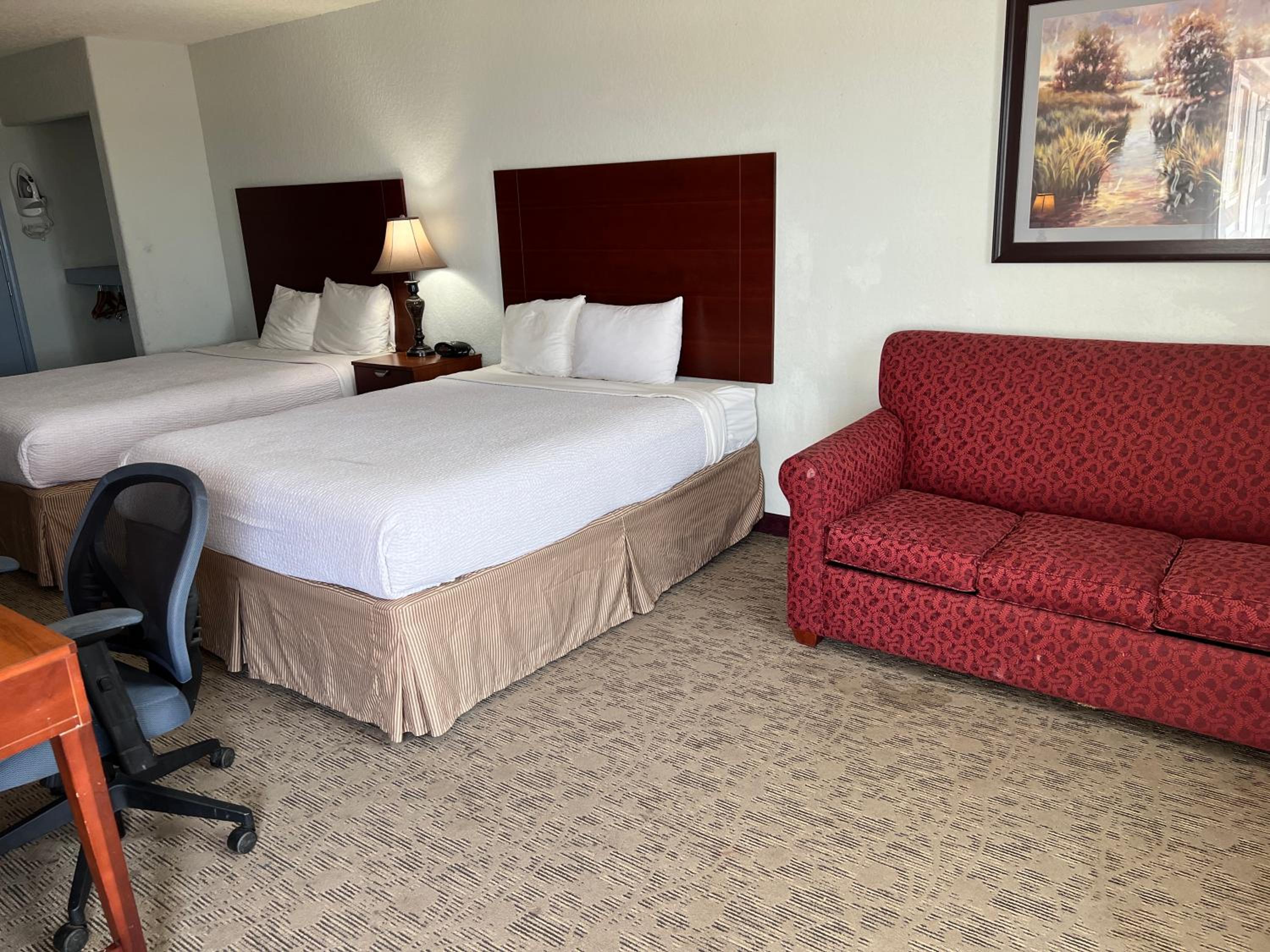 Deluxe Queen Suite photo 2