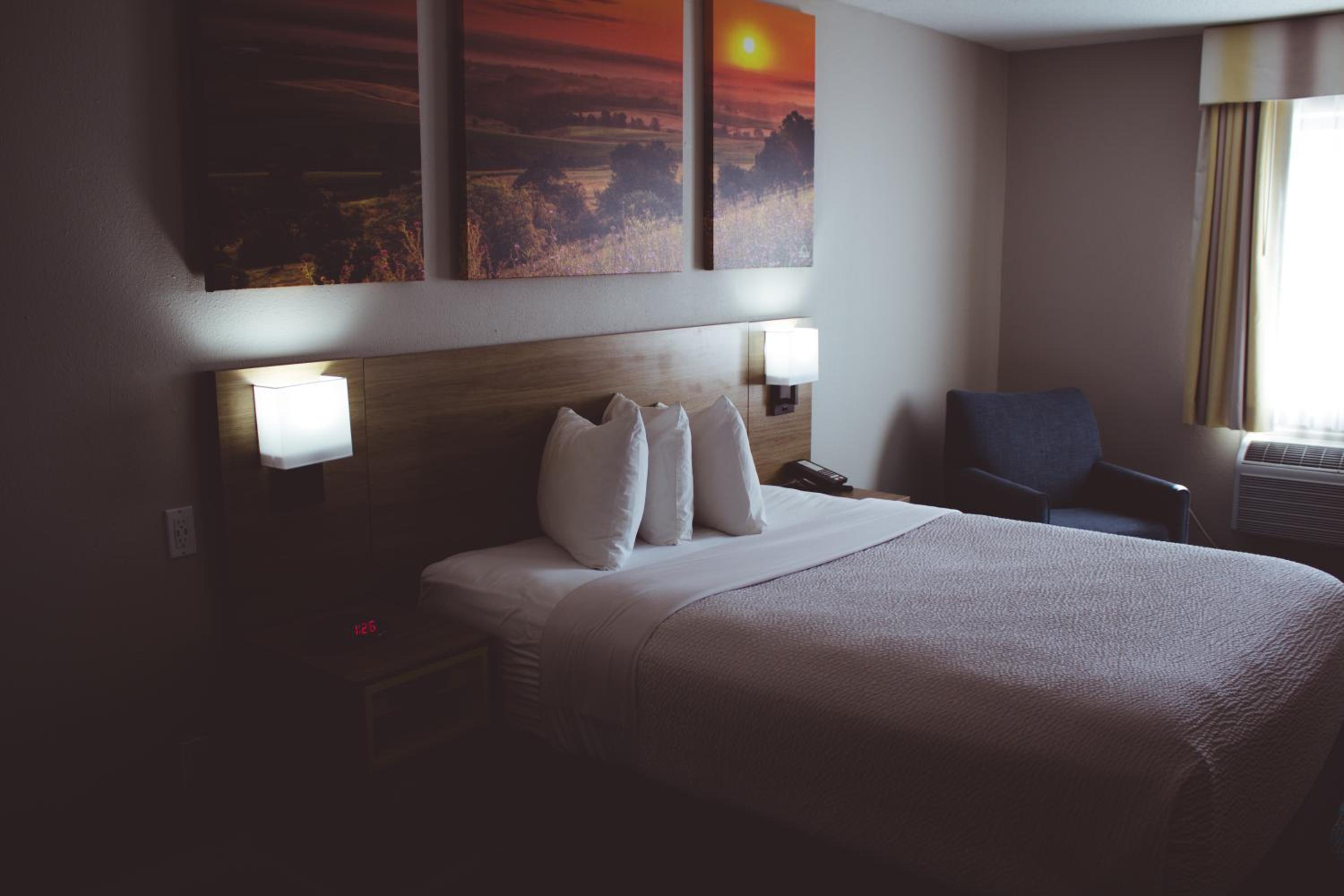 King Room - Pet Friendly/Non-Smoking - Photo 5