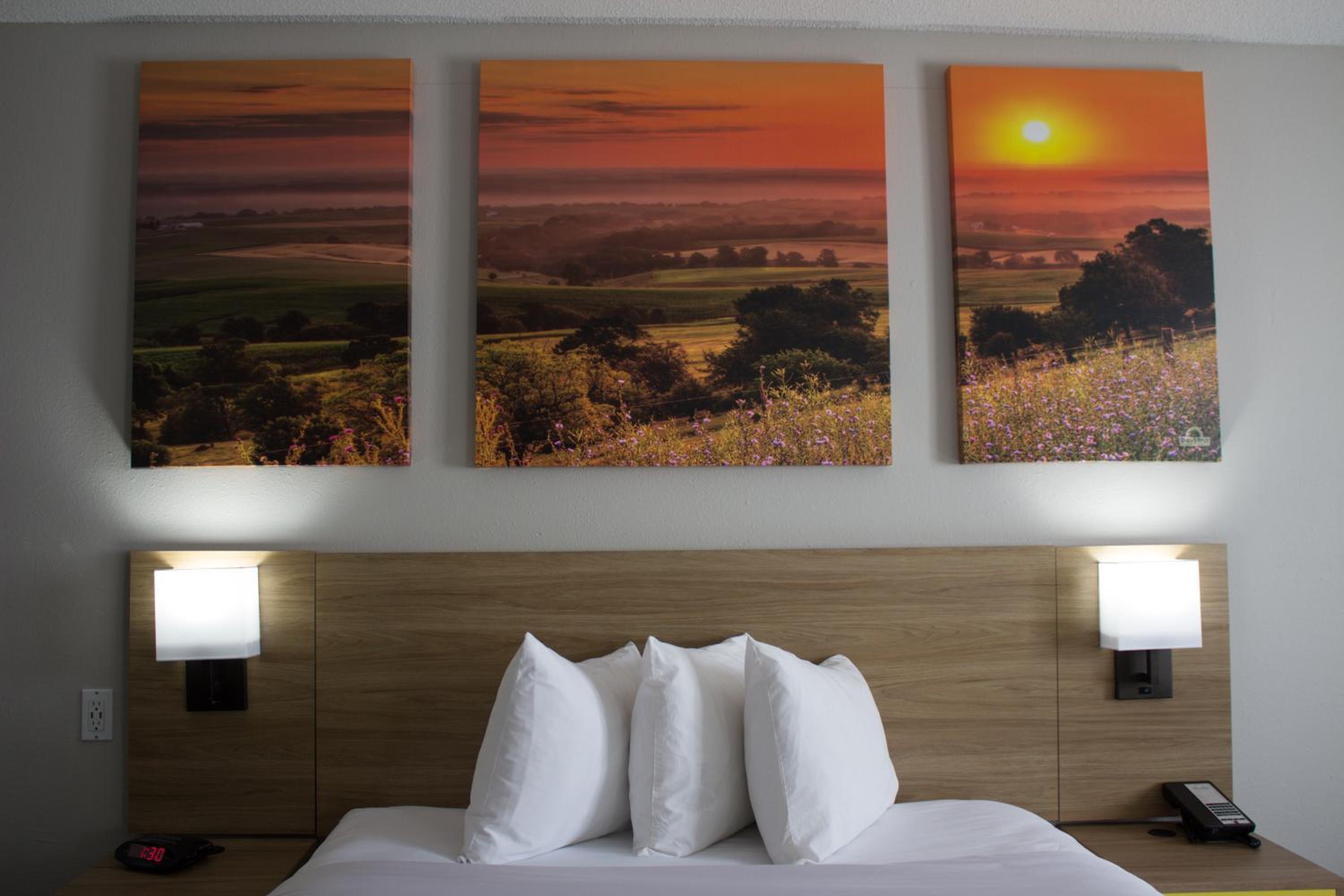 King Room - Pet Friendly/Non-Smoking - Photo 4