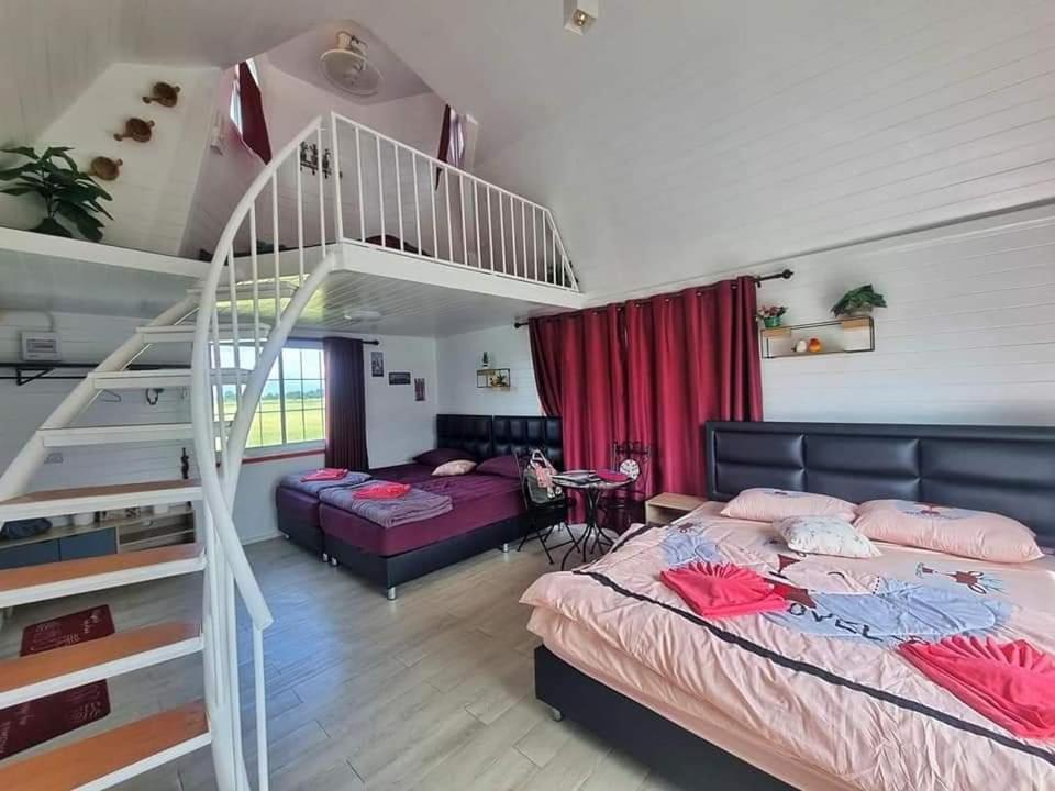 Family Room with Terrace - Photo 2