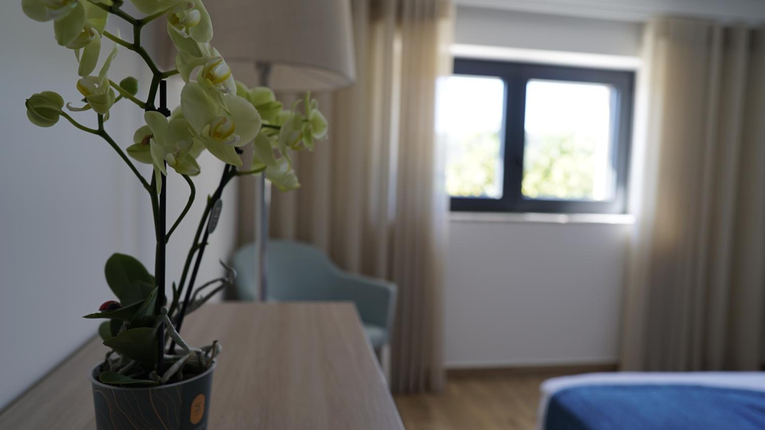 Two-Bedroom Villa - Photo 4