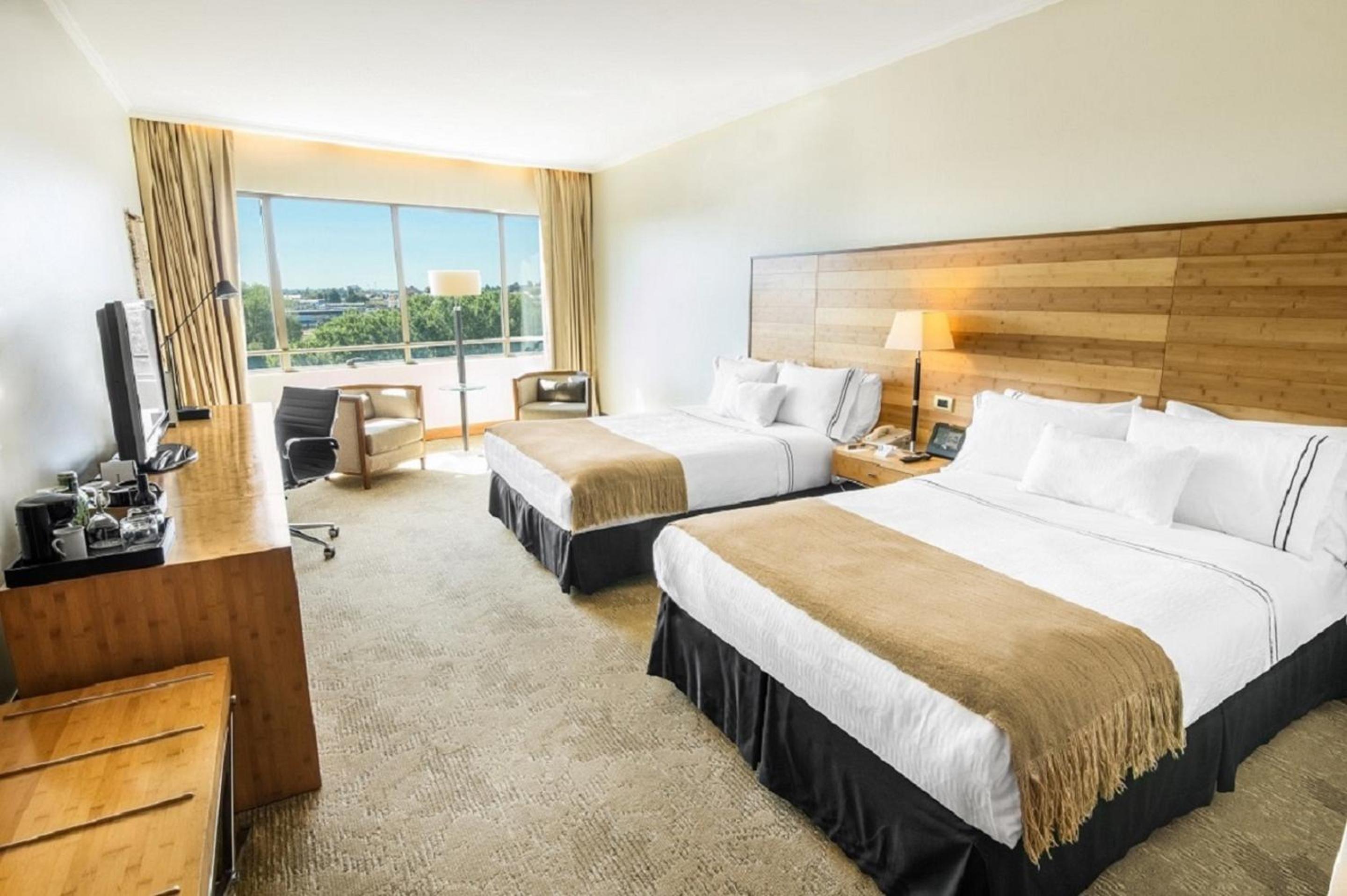 Executive Twin Room - Photo 1